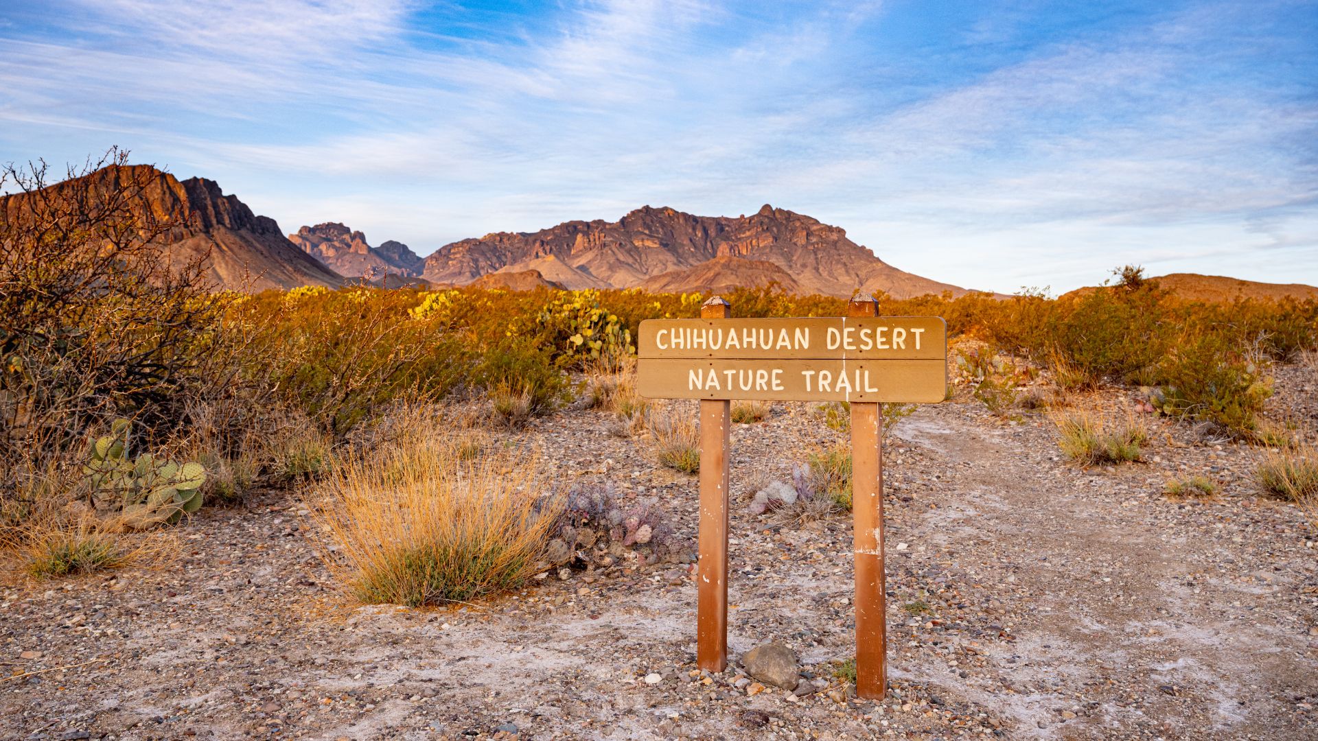  A wide shot of the Chihuahuan Desert Nature Trail in Big Bend National Park, featuring a wooden sign with "CHIHUAHUAN DESERT NATURE TRAIL" text in the foreground, surrounded by arid desert vegetation and rugged mountains under a partly cloudy sky.