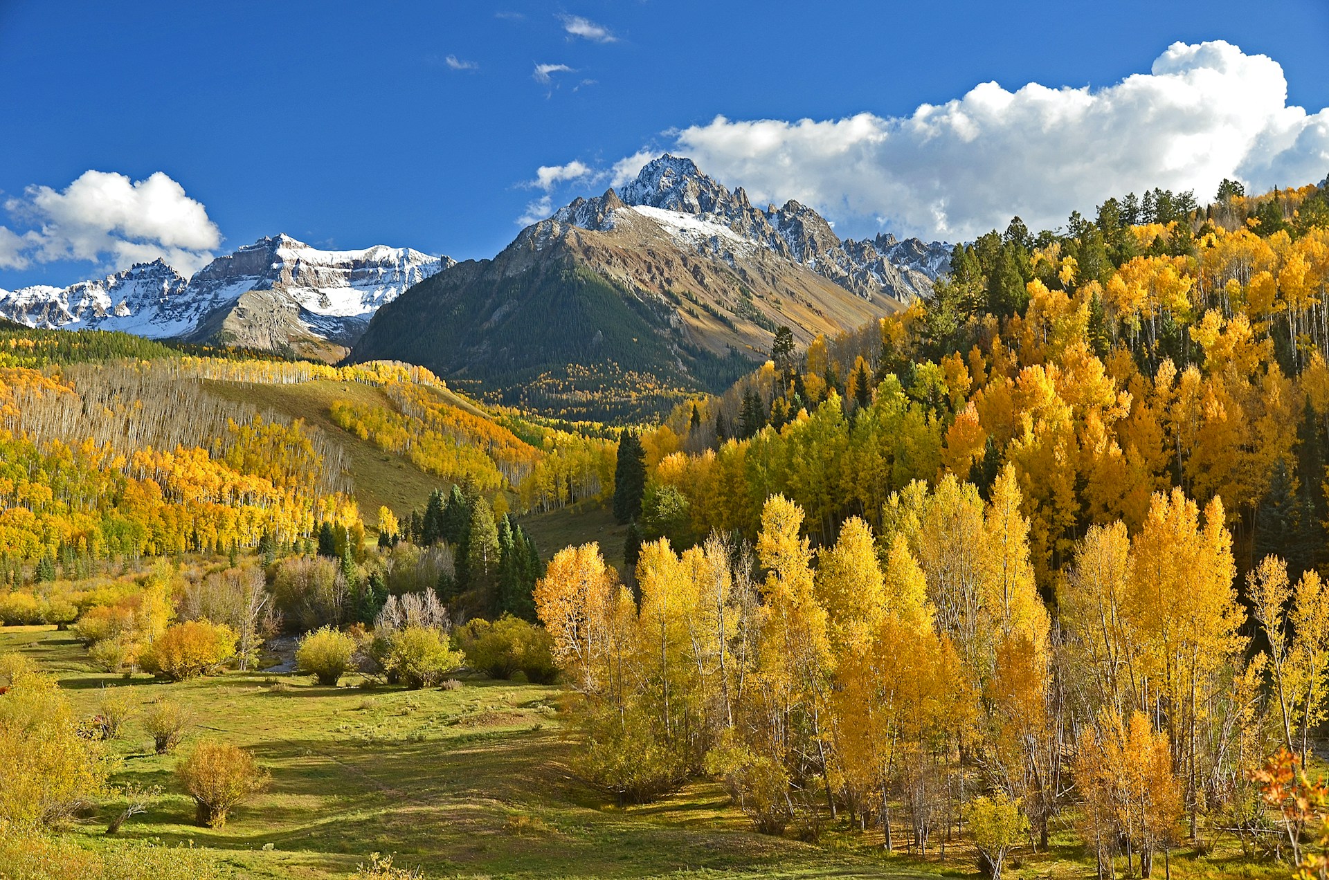 Scenic view of Colorado mountains with lush green forests in the foreground and clear blue sky above