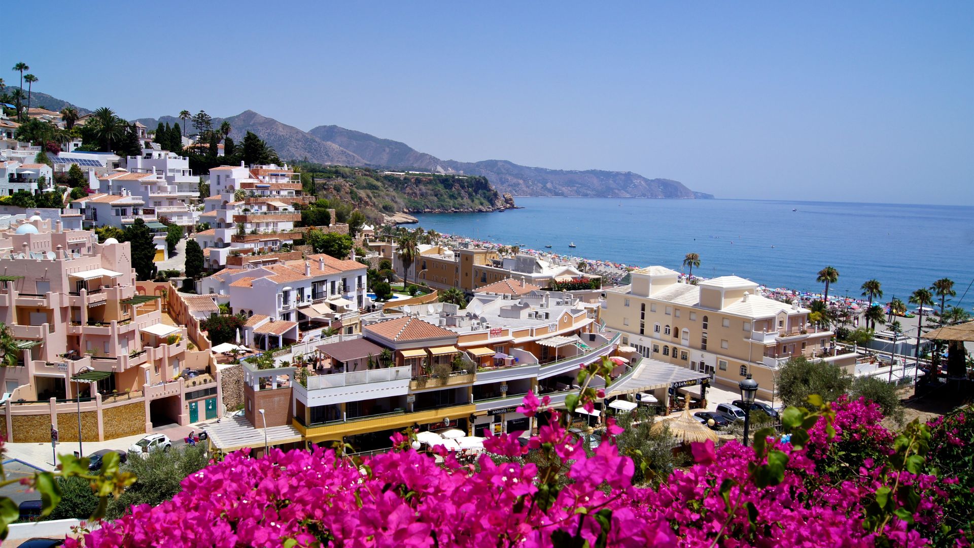 A vibrant panoramic view of Burriana Beach in Nerja, Spain, featuring white buildings cascading down a hillside towards a sandy beach and the blue Mediterranean Sea under a clear sky, with bright pink bougainvillea flowers in the foreground. 
