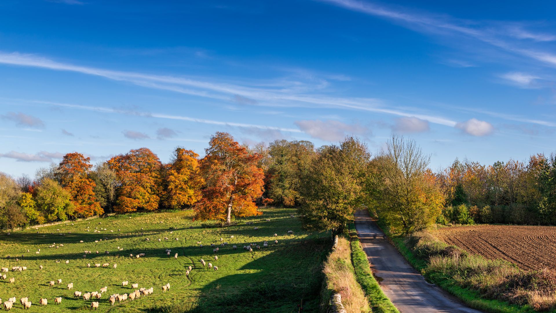 Cotswolds Area of Outstanding Natural Beauty, United Kingdom