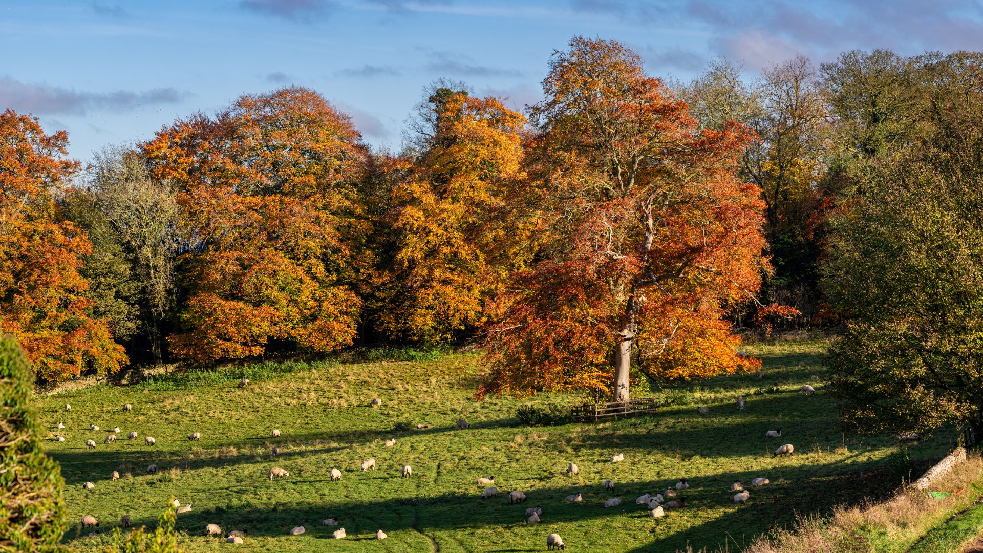 Cotswolds National Landscape, United Kingdom.