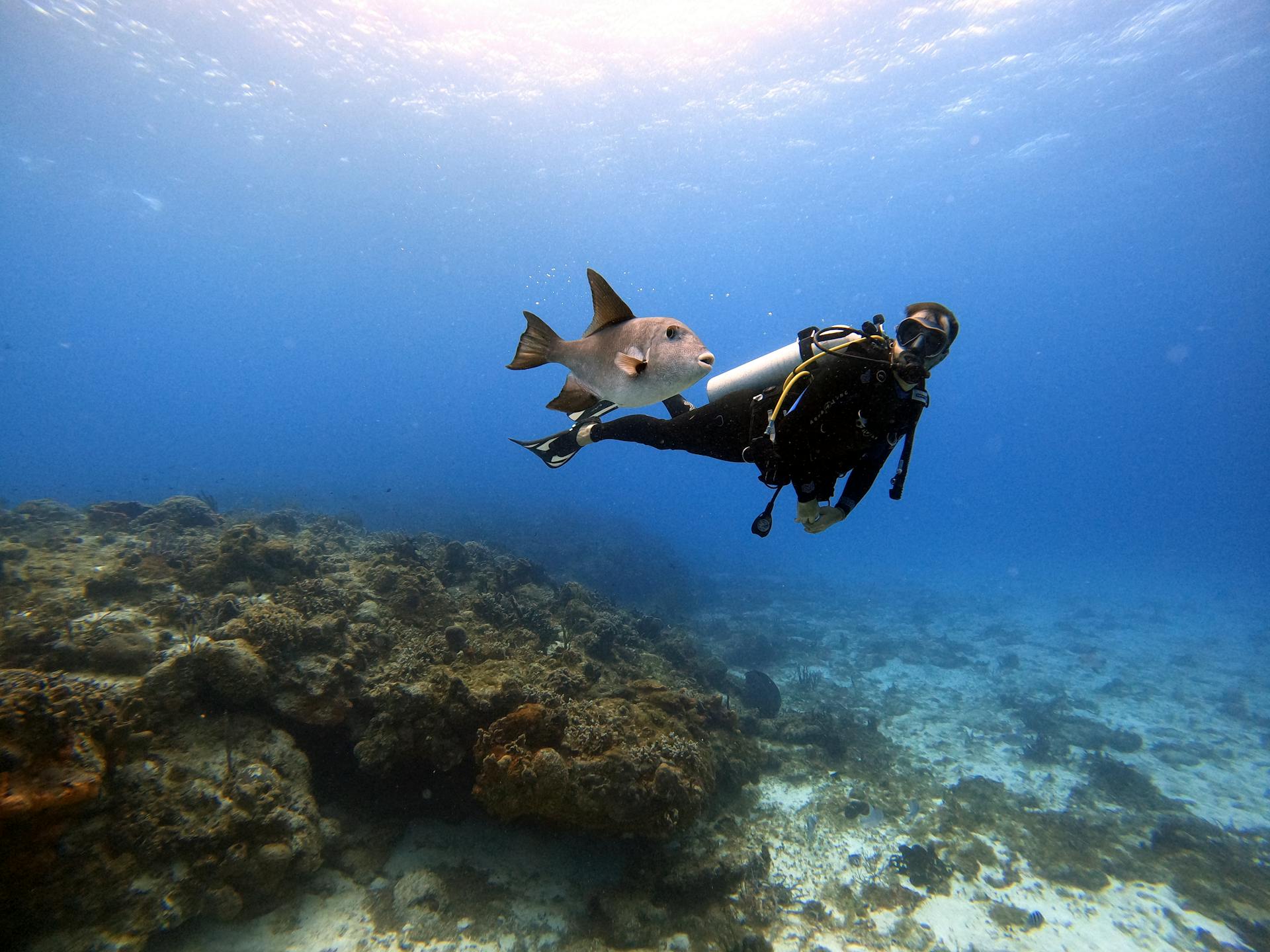 Snorkeler swimming over a colorful coral reef in Cozumel, Mexico