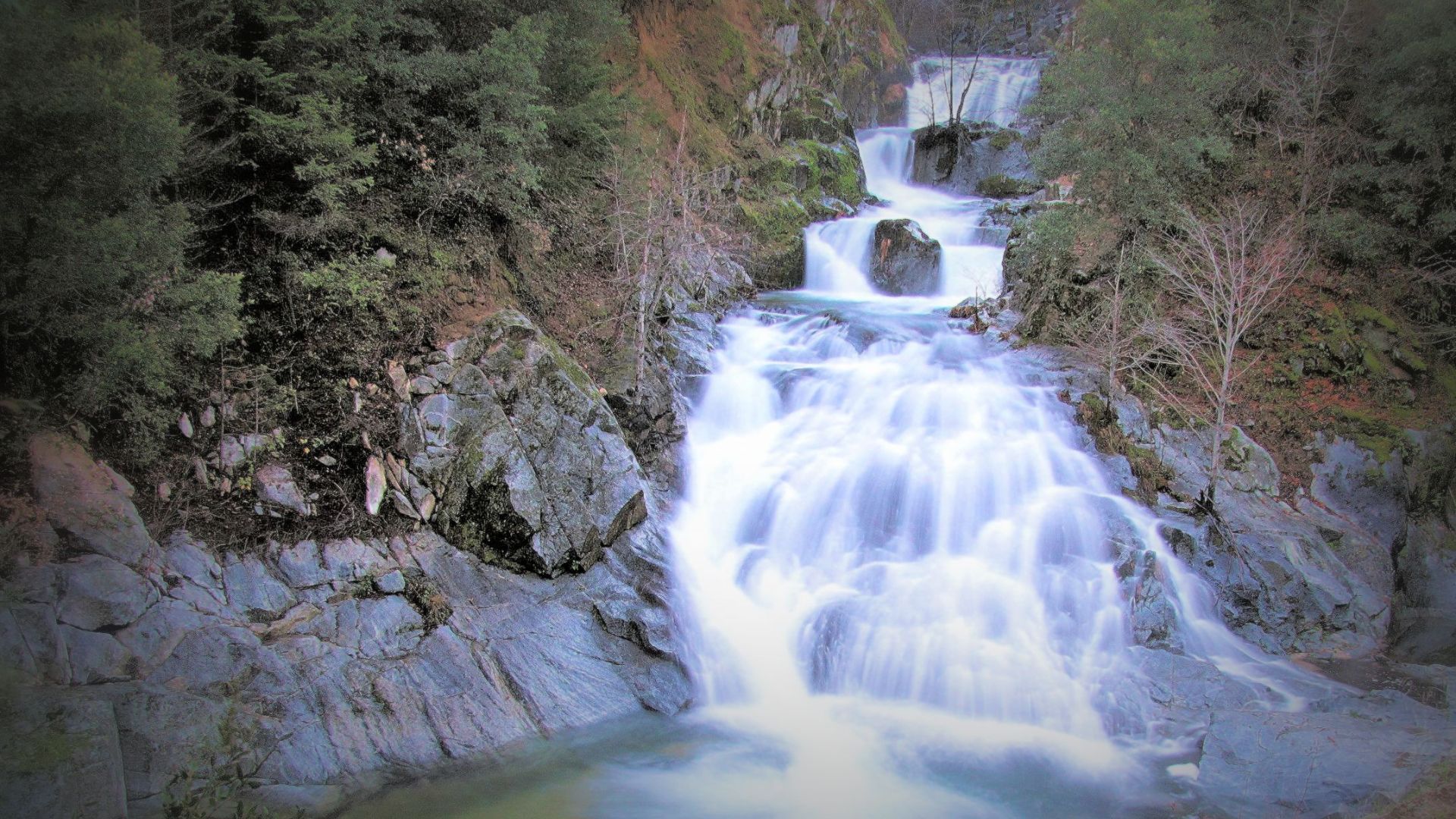 A long exposure photograph captures the ethereal flow of Crystal Creek Falls, cascading over smooth rocks amidst a lush, tree-lined landscape, with the water appearing as a soft, milky white blur against the darker tones of the surrounding nature.