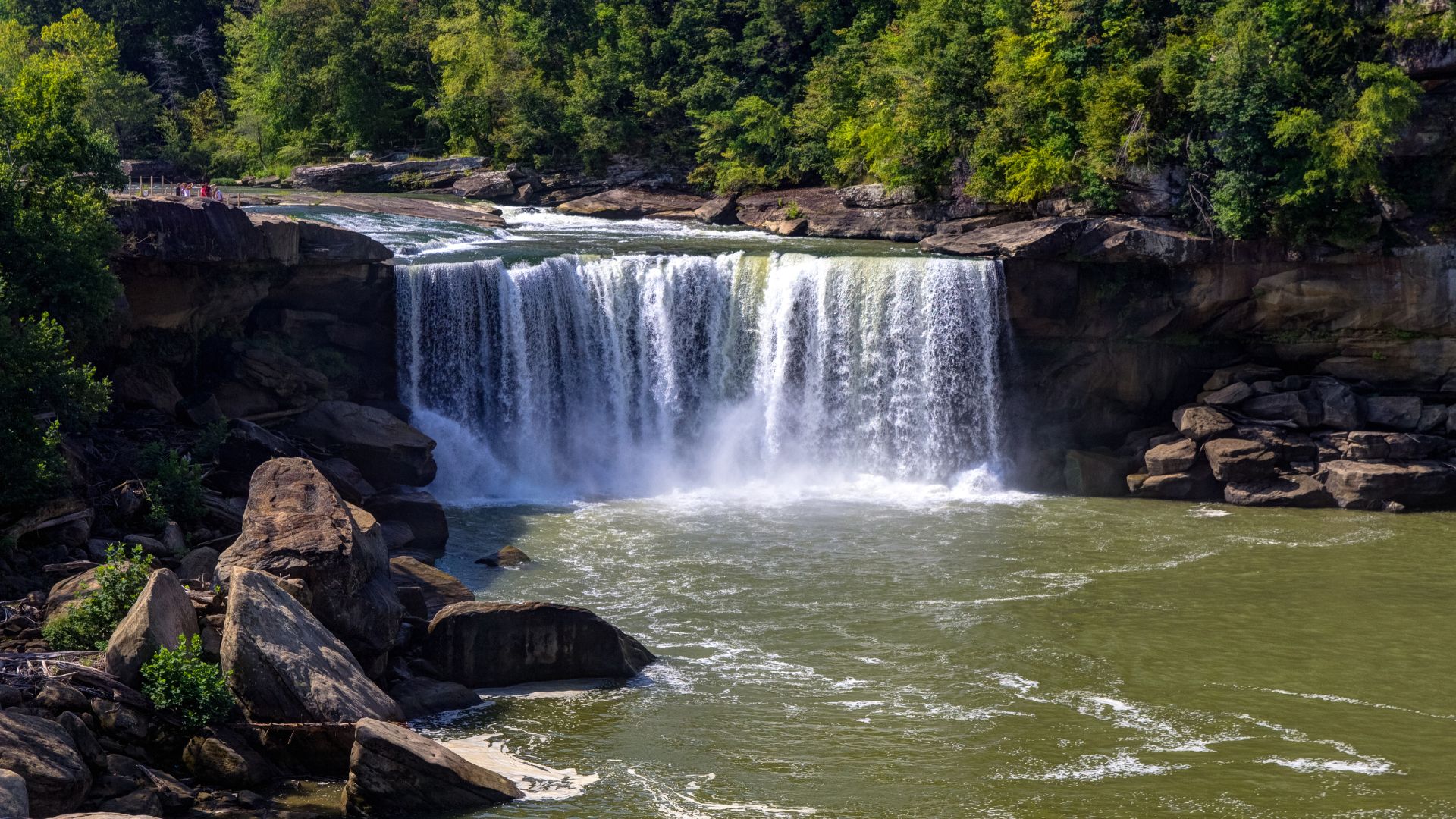 A wide, powerful waterfall, Cumberland Falls, cascades over a rocky ledge into a river below, surrounded by lush green trees and large boulders on either side of the riverbank under a clear sky.