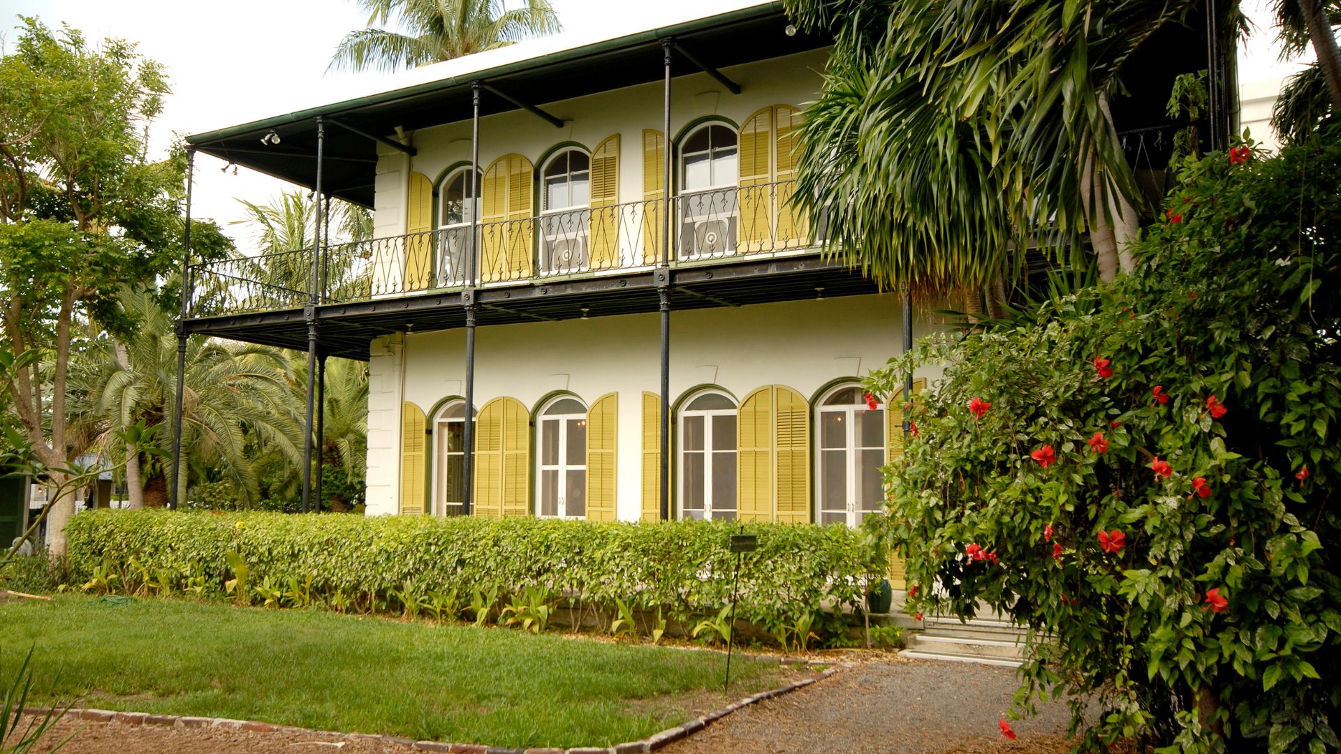 A two-story, white Spanish Colonial house with yellow louvered shutters and a black iron balcony, surrounded by lush green foliage and a vibrant red hibiscus bush in the foreground, under a bright sky.