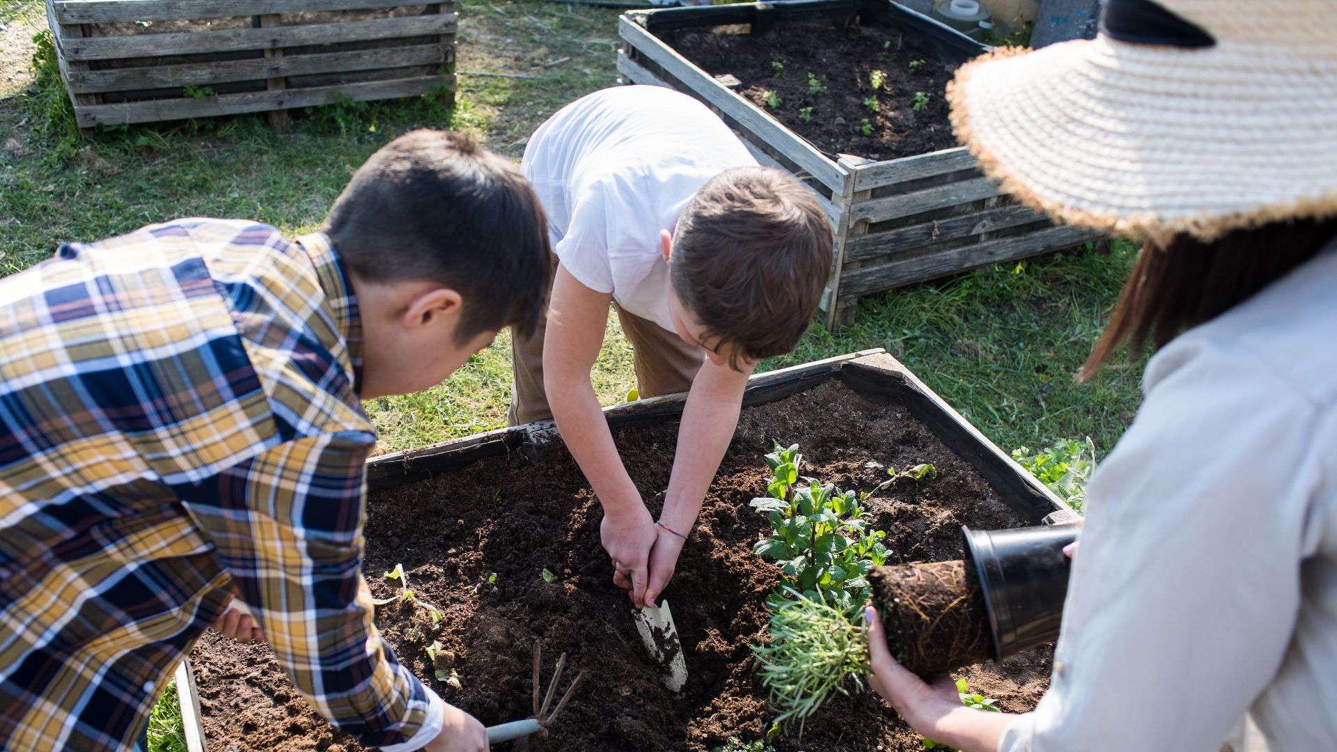 Family gardening