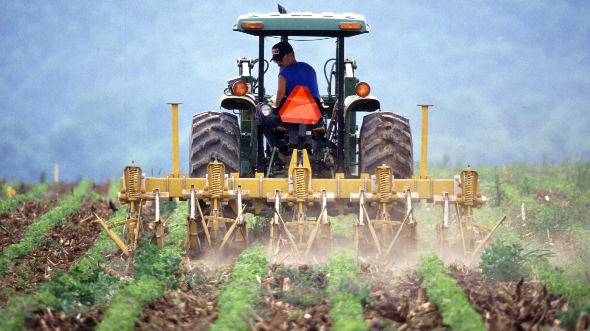 A farmer in a blue shirt and cap operates a green tractor with a large yellow implement attached, tilling rows in a green field under a hazy sky.