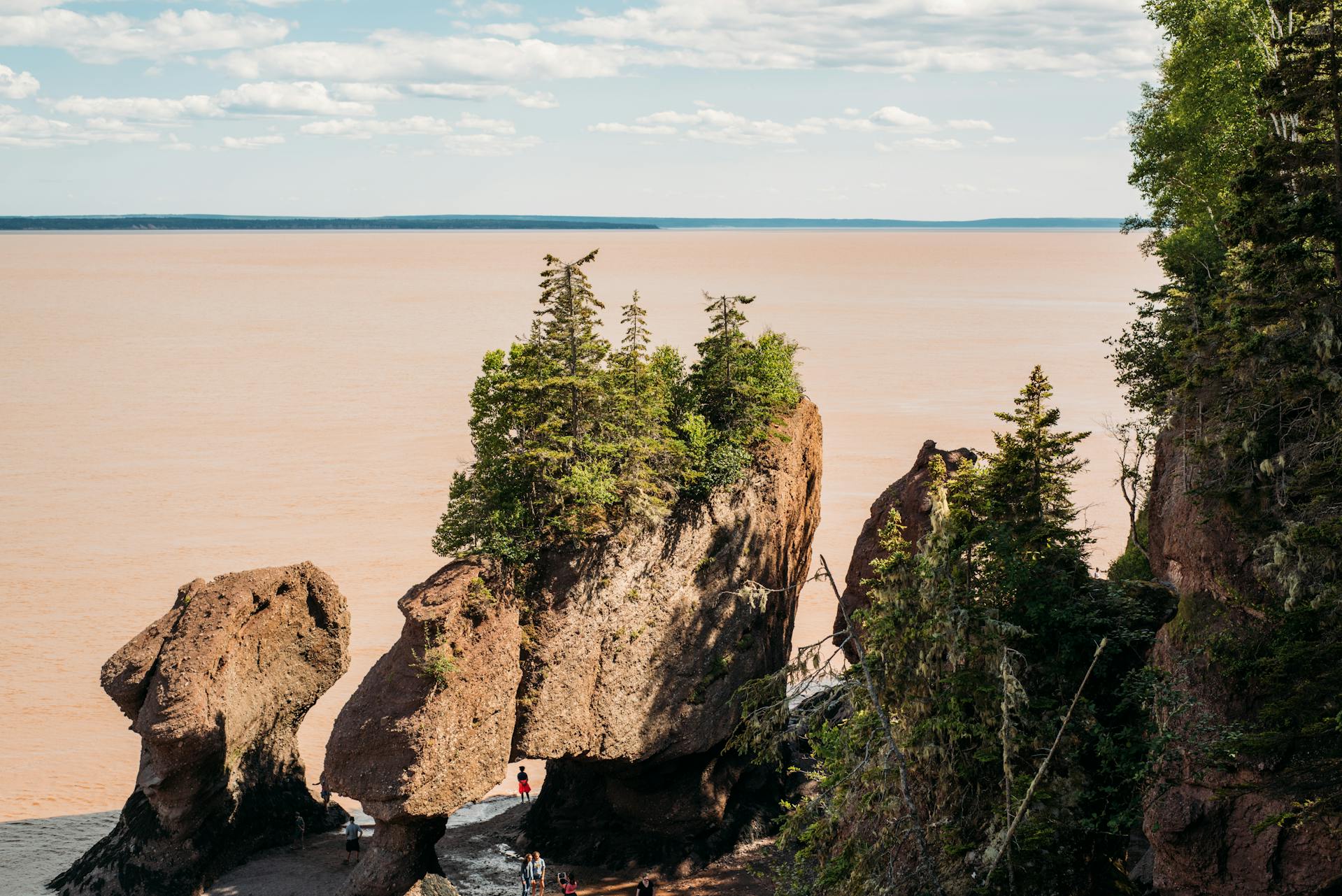 Bay of Fundy at Low Tide