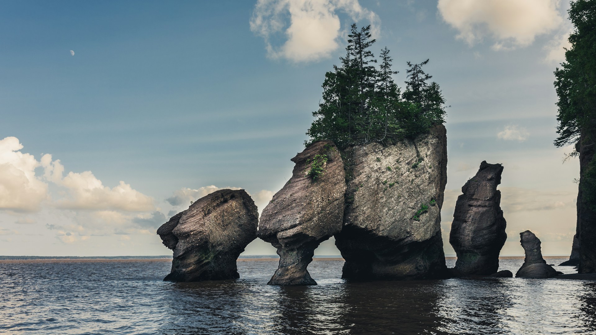 Hopewell Rocks in New Brunswick, Canada, with tall, eroded sea stacks along the Bay of Fundy shoreline.