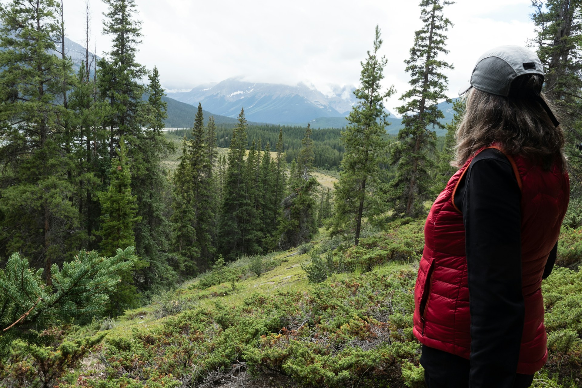 Vast wilderness of Jasper National Park