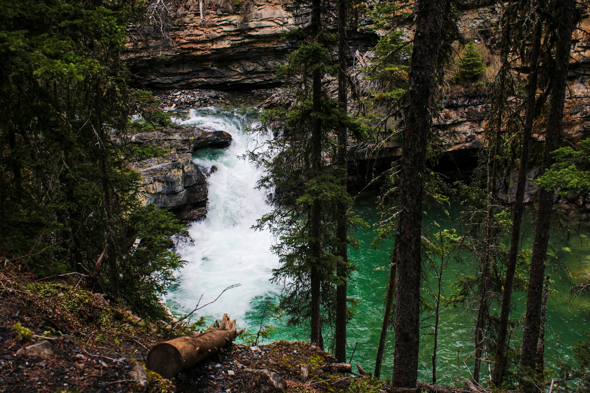 Powerful waterfall cascading down rocky cliffs surrounded by lush green forest at Johnston Canyon