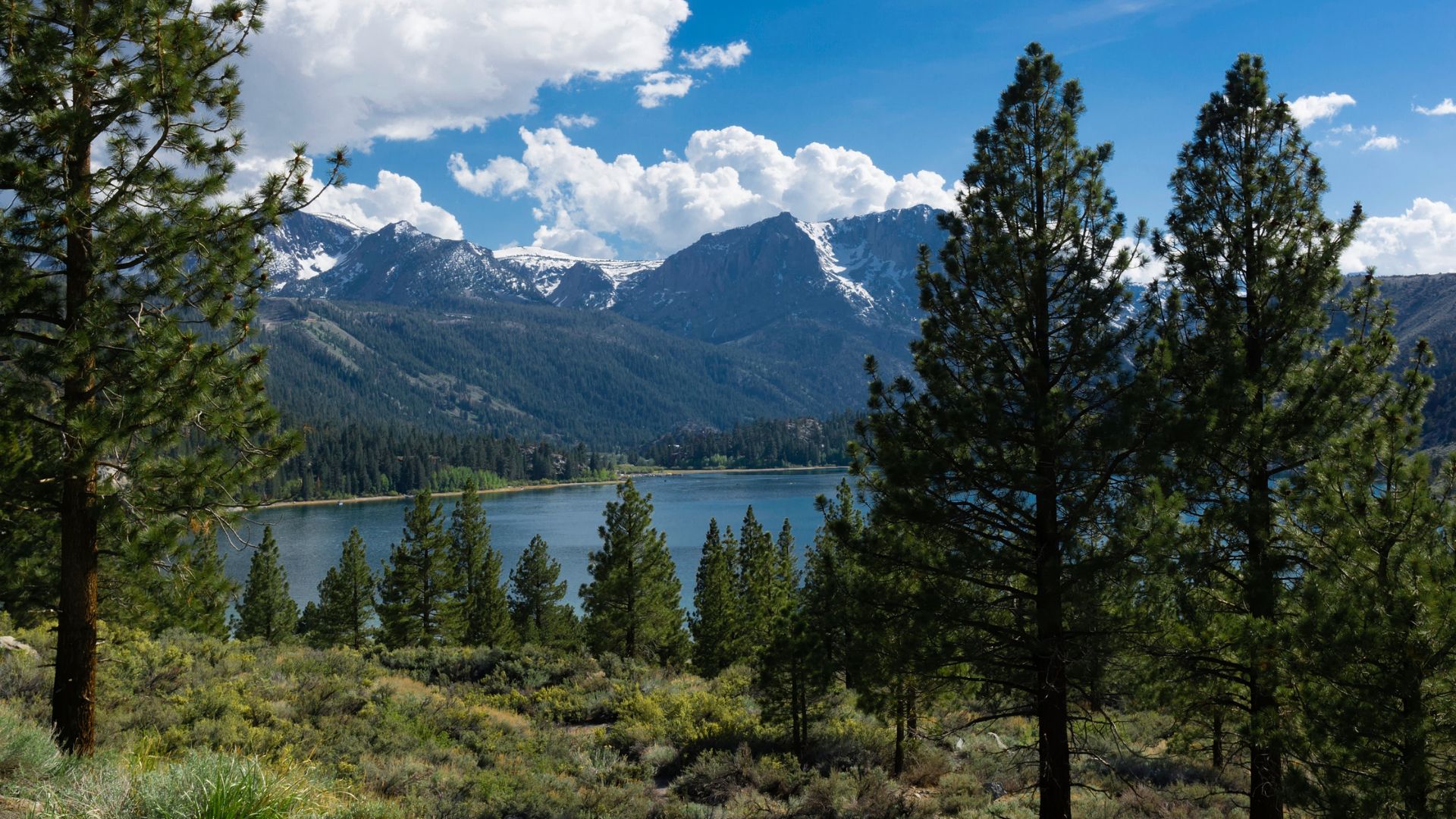 A serene landscape view of June Lake, California, featuring a calm blue lake surrounded by lush green pine trees, with snow-capped mountains in the background under a partly cloudy sky. 