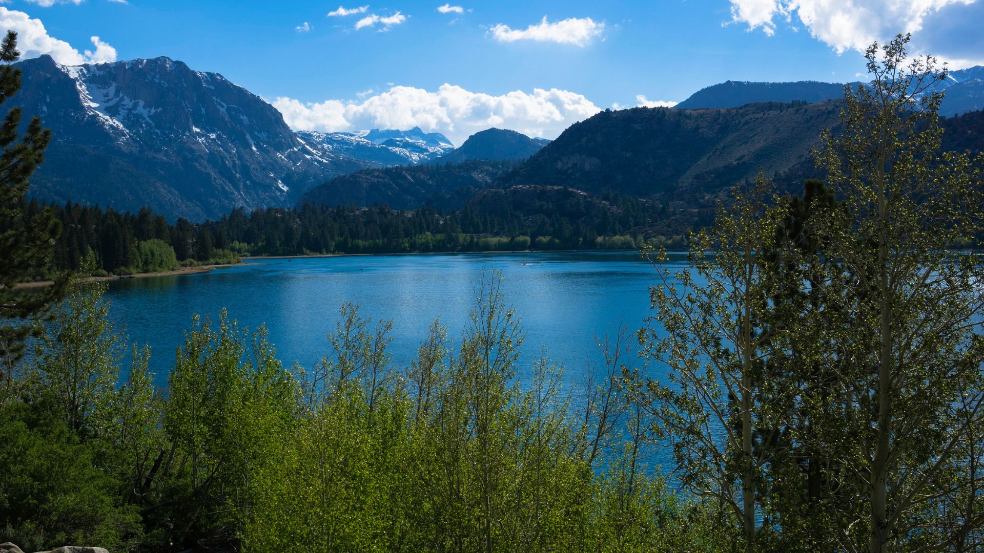 A serene landscape photograph featuring a calm blue lake surrounded by lush green trees and towering snow-capped mountains under a bright blue sky with scattered clouds. The foreground shows green foliage, framing the lake and the distant mountains.