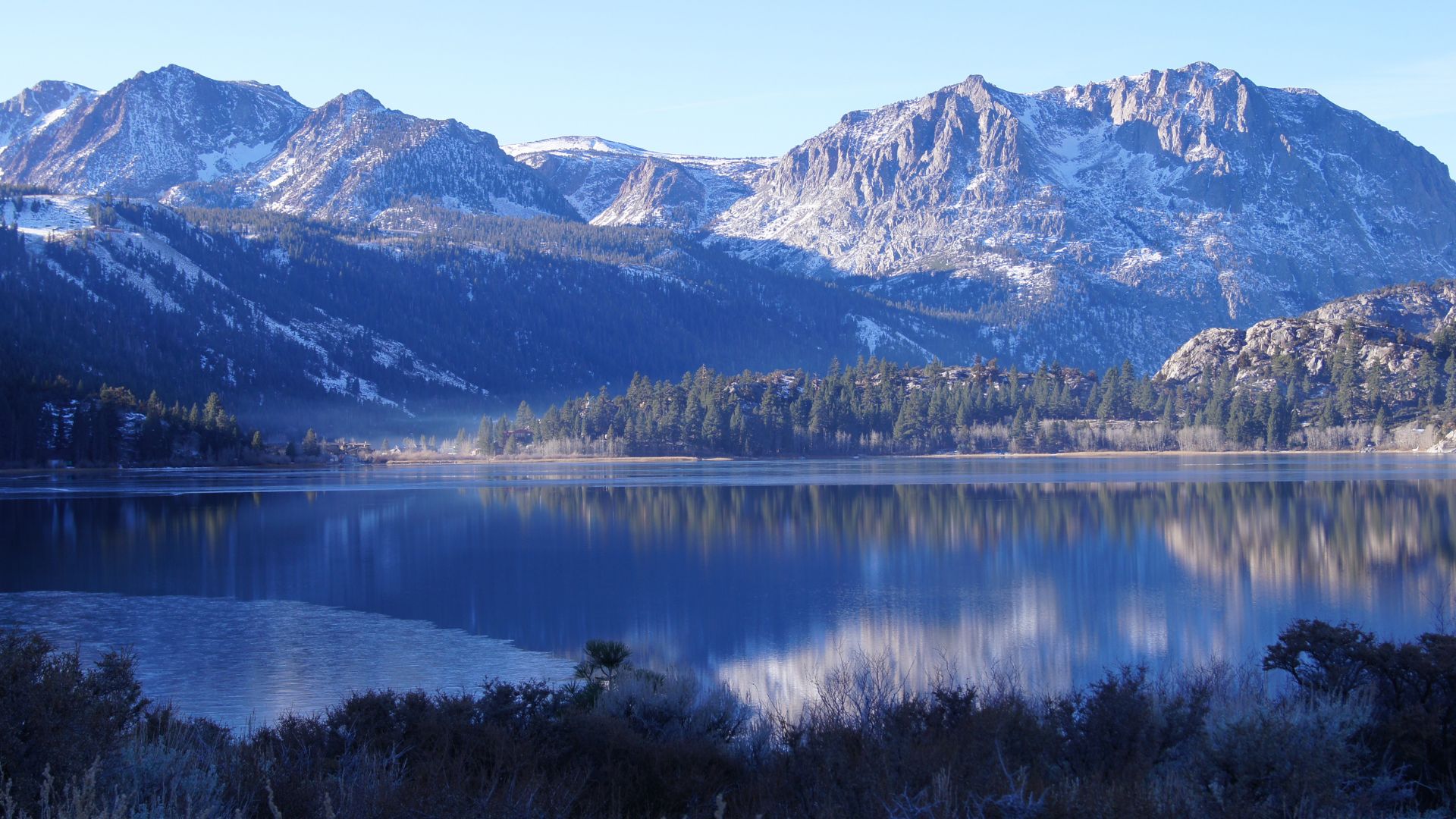 A serene blue lake reflects snow-capped mountains and a line of evergreen trees under a clear sky, with sparse vegetation in the foreground.