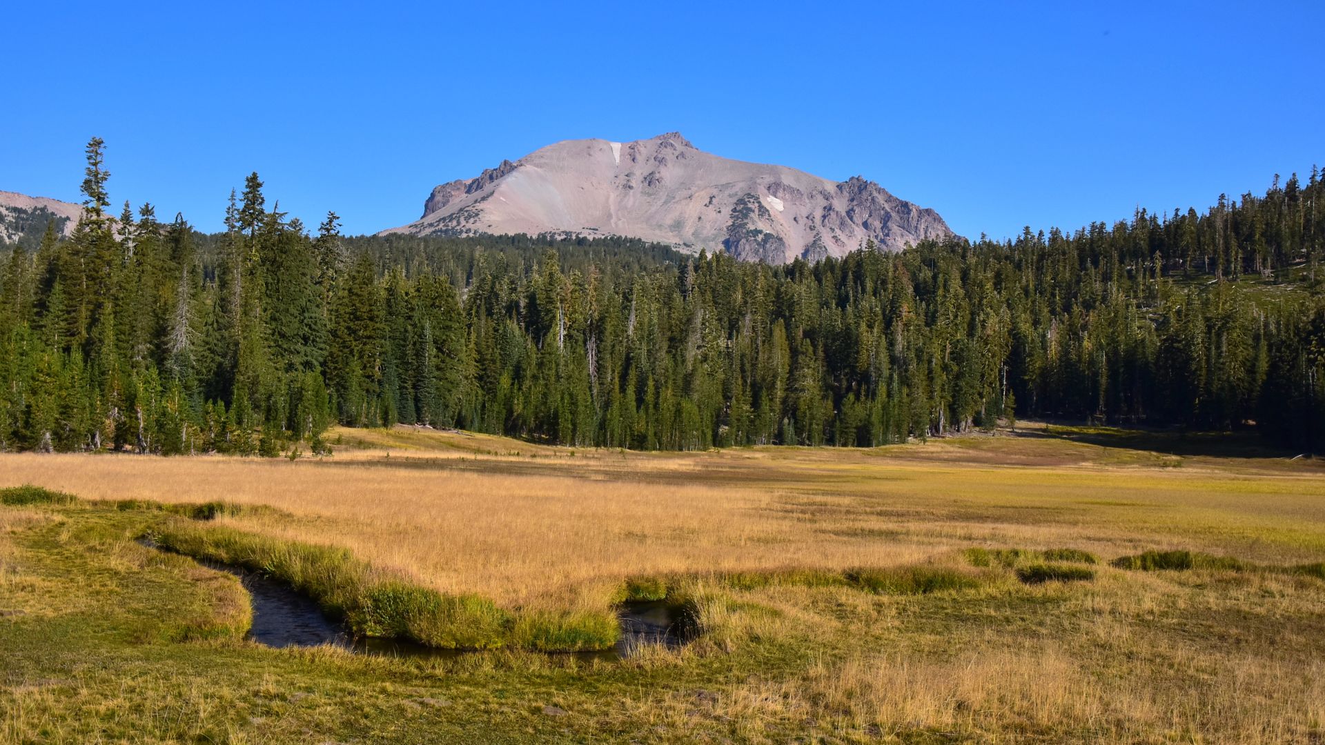 A wide shot of a golden-hued meadow with a meandering creek in the foreground, backed by a dense evergreen forest and a large, rocky mountain peak under a clear blue sky.