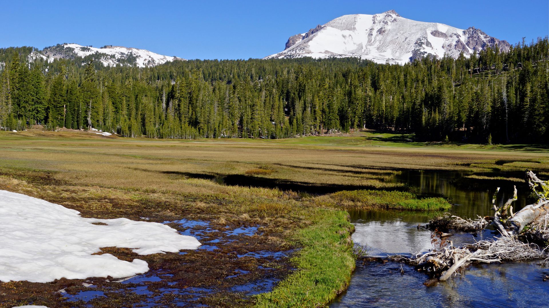 A panoramic view of a subalpine meadow with a stream winding through it, patches of snow in the foreground, and a dense evergreen forest leading up to a snow-capped volcanic peak under a clear blue sky.