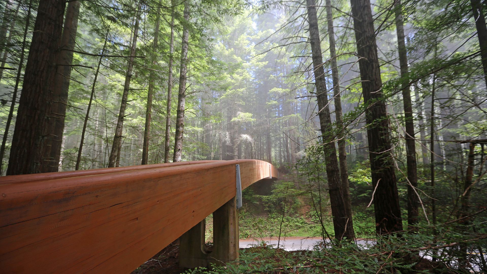 A wooden walkway or bridge curves through a misty, sun-dappled redwood forest, with towering trees on either side and a luminous haze in the background.