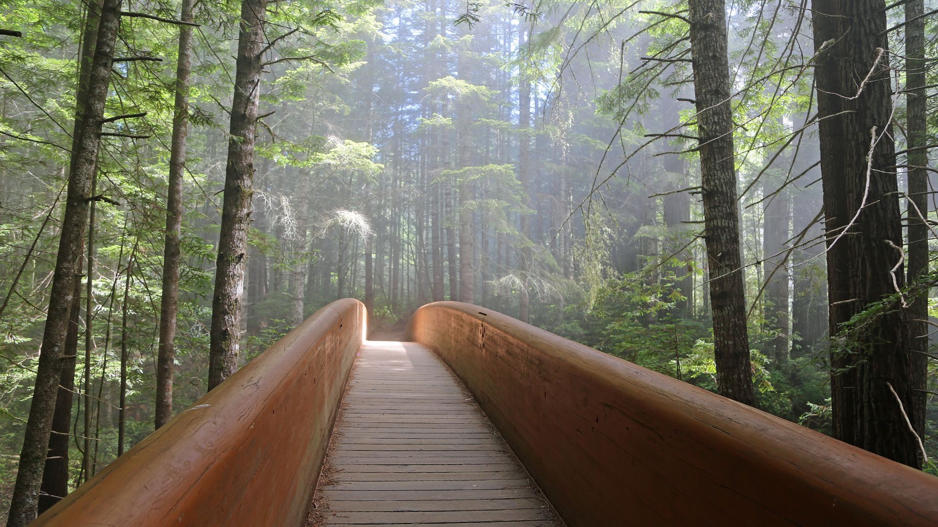 A wooden bridge with railings leads through a dense, misty redwood forest, with sunlight filtering through the tall trees in the distance.