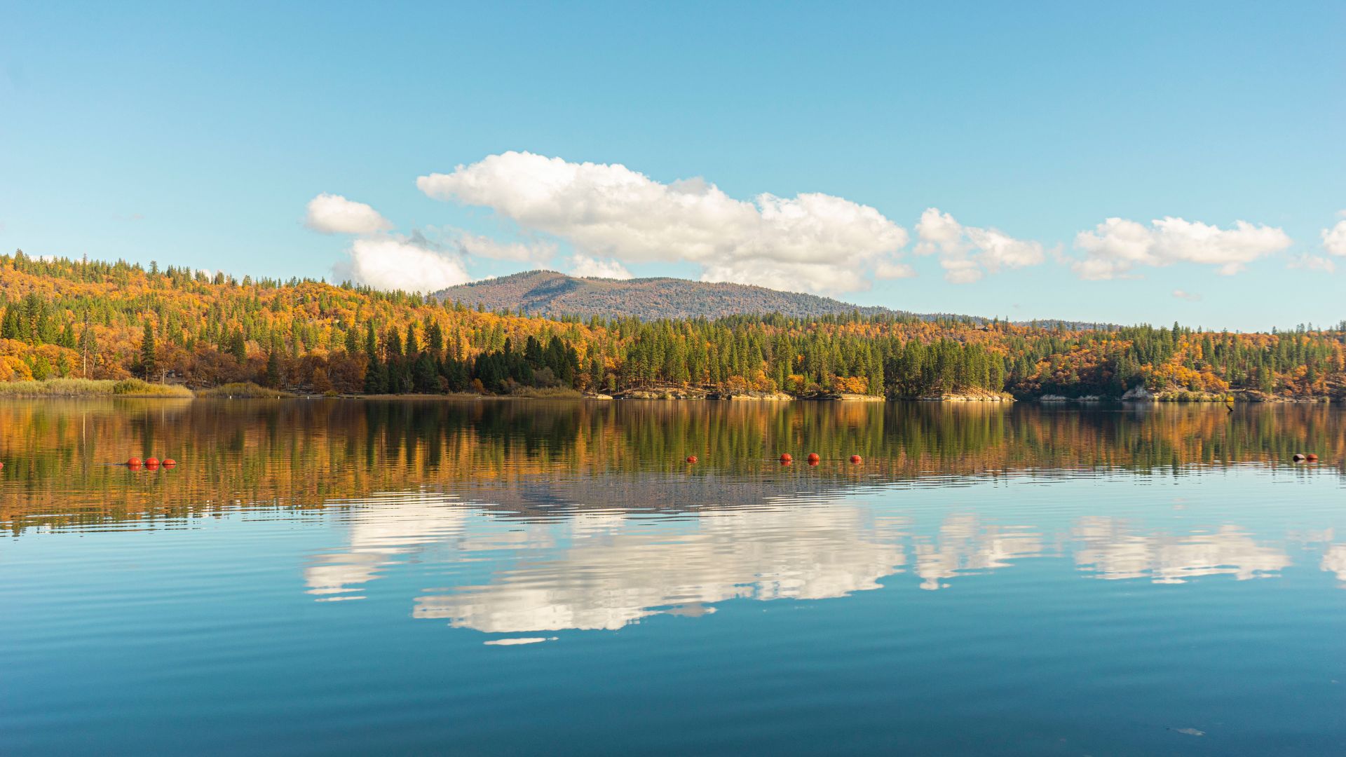 A serene lake reflects a blue sky with scattered white clouds, bordered by a forested shoreline featuring a mix of green and autumnal-colored trees, with a distant mountain range under the sky.
