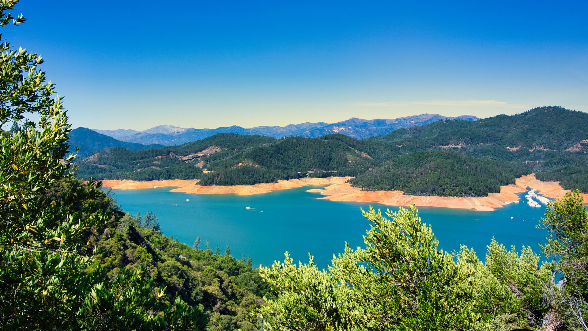 A wide shot of Shasta Lake, a large, turquoise-blue reservoir surrounded by lush green, forested hills and distant mountains under a clear blue sky. The lake's water level appears low, revealing exposed reddish-brown shorelines, and a few boats are visible on the water.