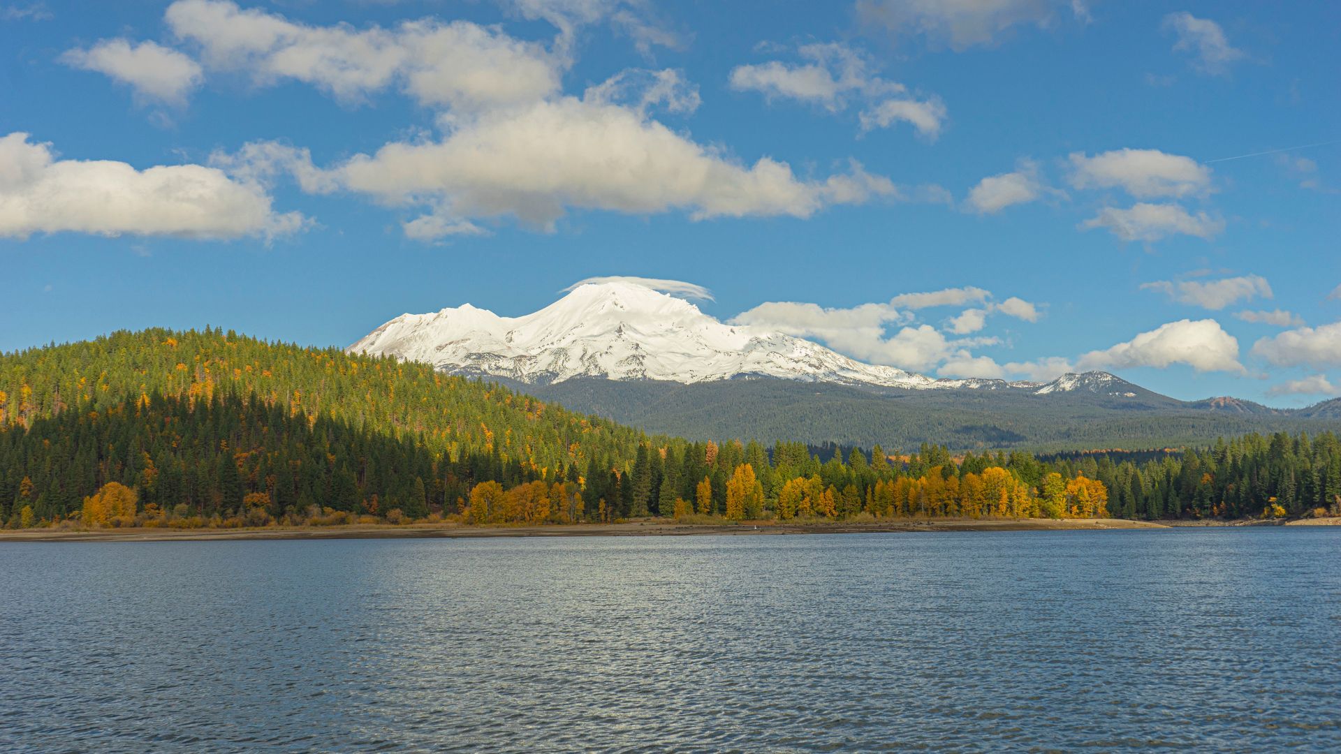 A wide shot of Lake Siskiyou with a snow-capped Mount Shasta in the background under a blue sky with scattered clouds. The lake is surrounded by forested hillsides with vibrant autumn foliage along the shoreline.
