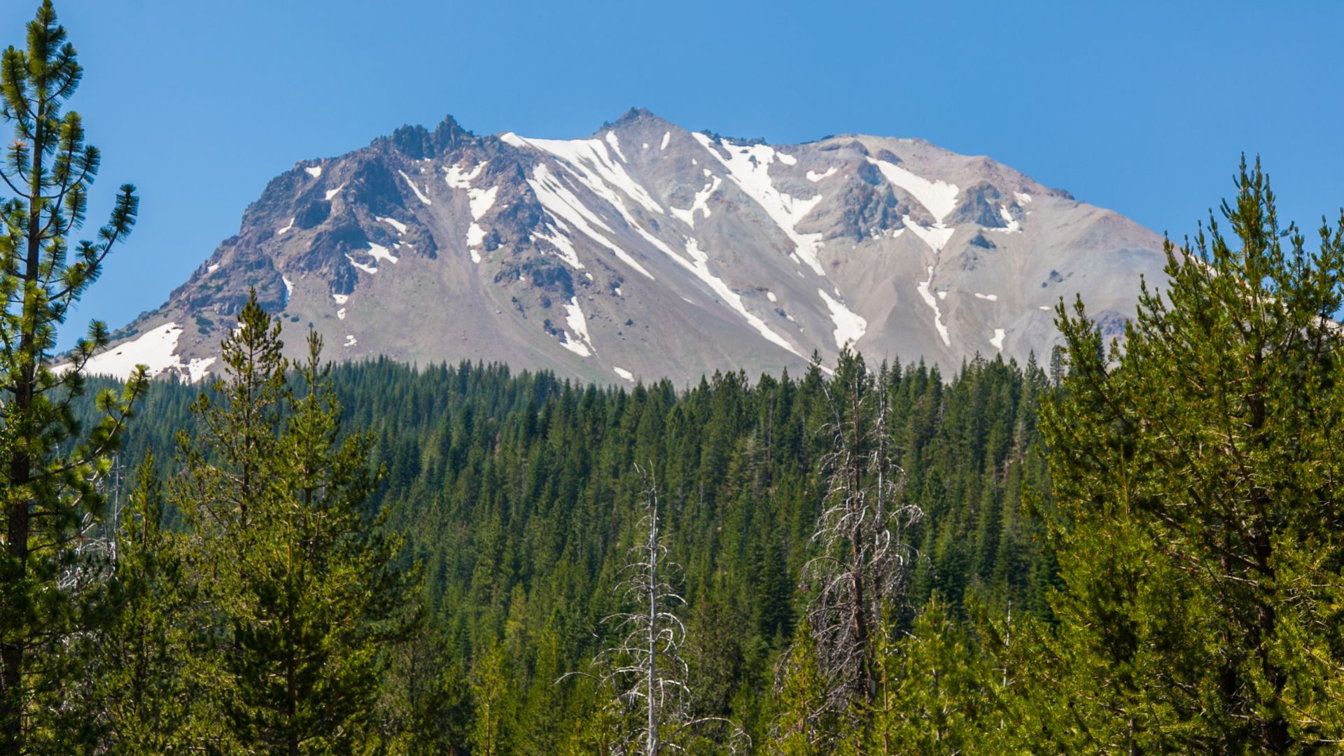 A snow-capped mountain peak, Lassen Peak, rises above a dense evergreen forest under a clear blue sky.