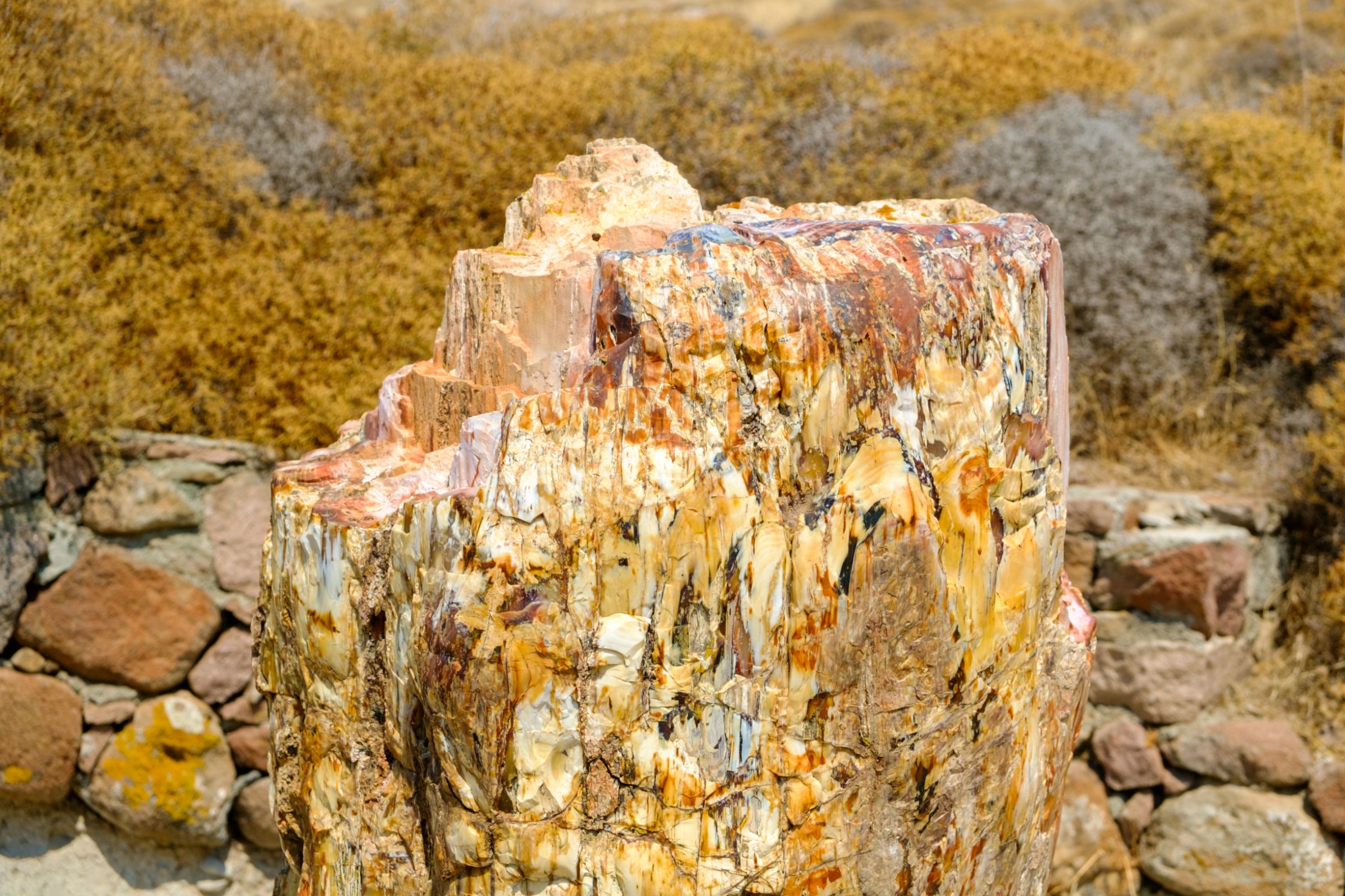 Lesvos' Petrified Forest