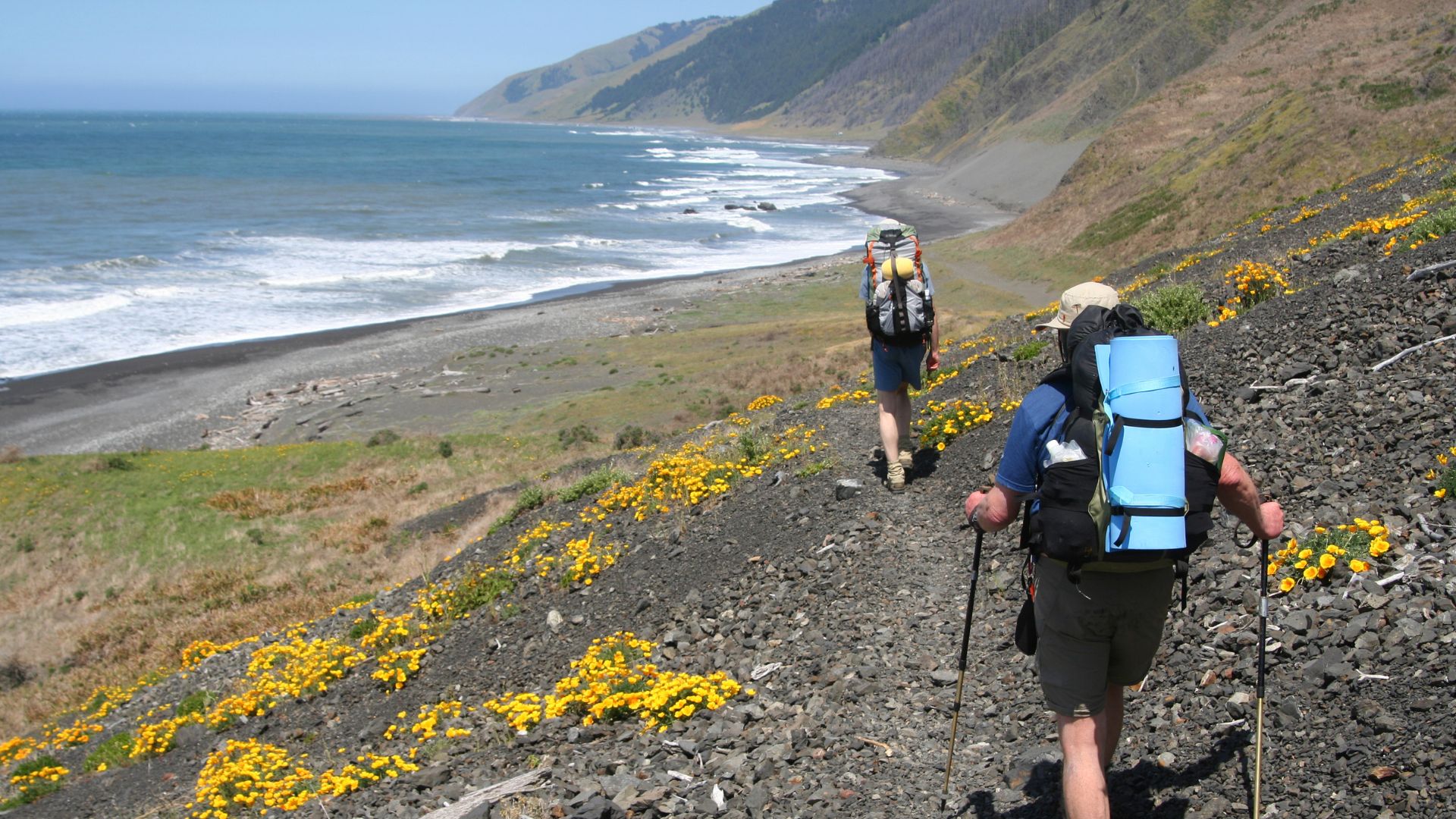 Three backpackers hike along a coastal trail with a field of wildflowers in the foreground and the ocean visible in the distance.