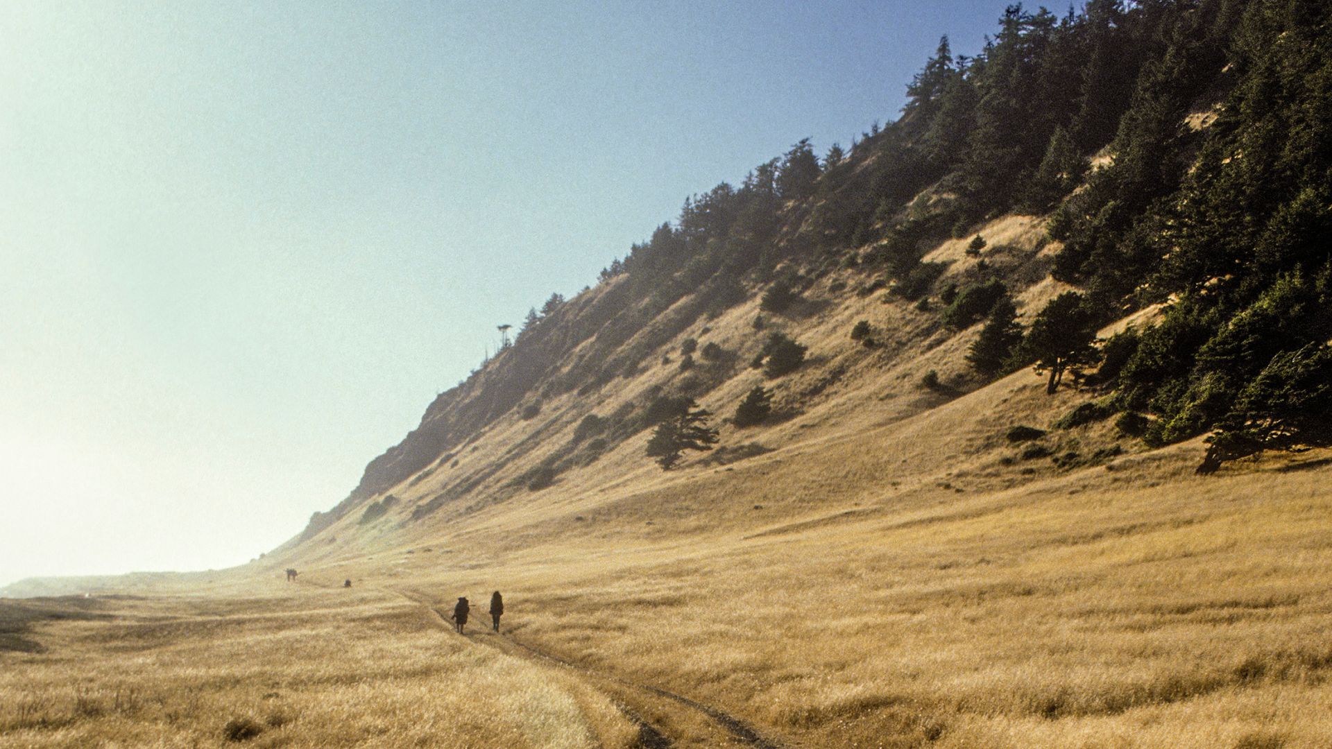 A wide shot of a winding dirt trail through golden, dry grass leading along the base of a steep, tree-covered hillside, with two figures walking in the distance under a bright sky.