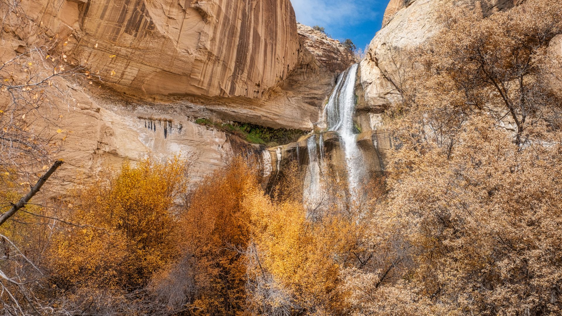 A scenic view of Lower Calf Creek Falls, a tall waterfall cascading over a sandstone cliff into a pool, surrounded by vibrant autumn foliage and dry brush in a desert canyon setting.