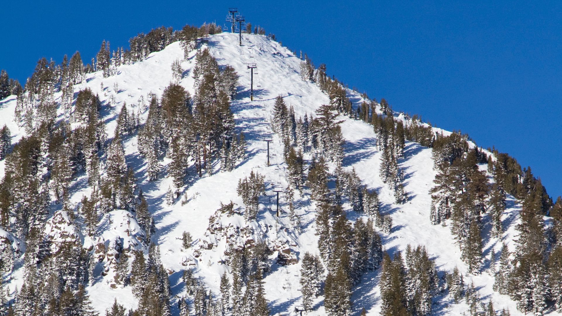 A snow-covered mountain with scattered evergreen trees and ski lifts ascending its slopes under a clear blue sky.