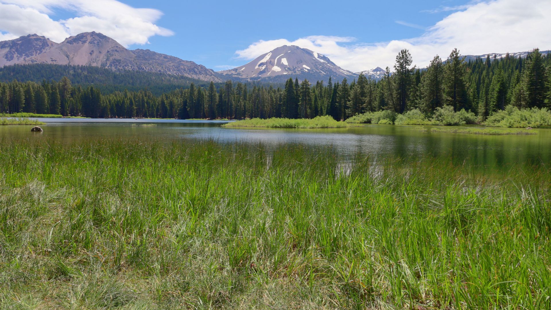 A serene lake with lush green foreground grasses, reflecting a clear blue sky and distant snow-capped mountains, surrounded by a dense forest of evergreen trees.
