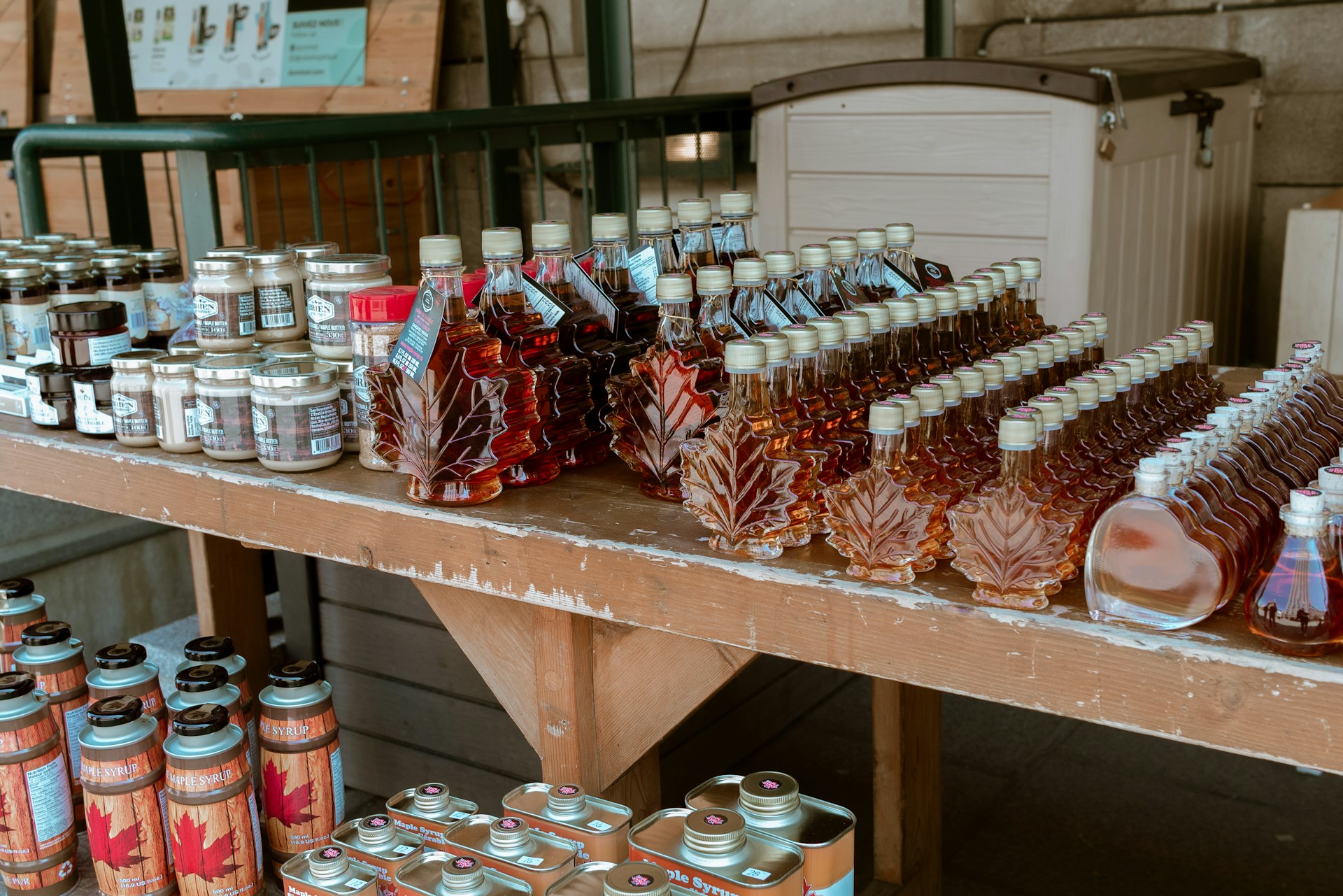 Bottles of Canadian maple syrup on display.