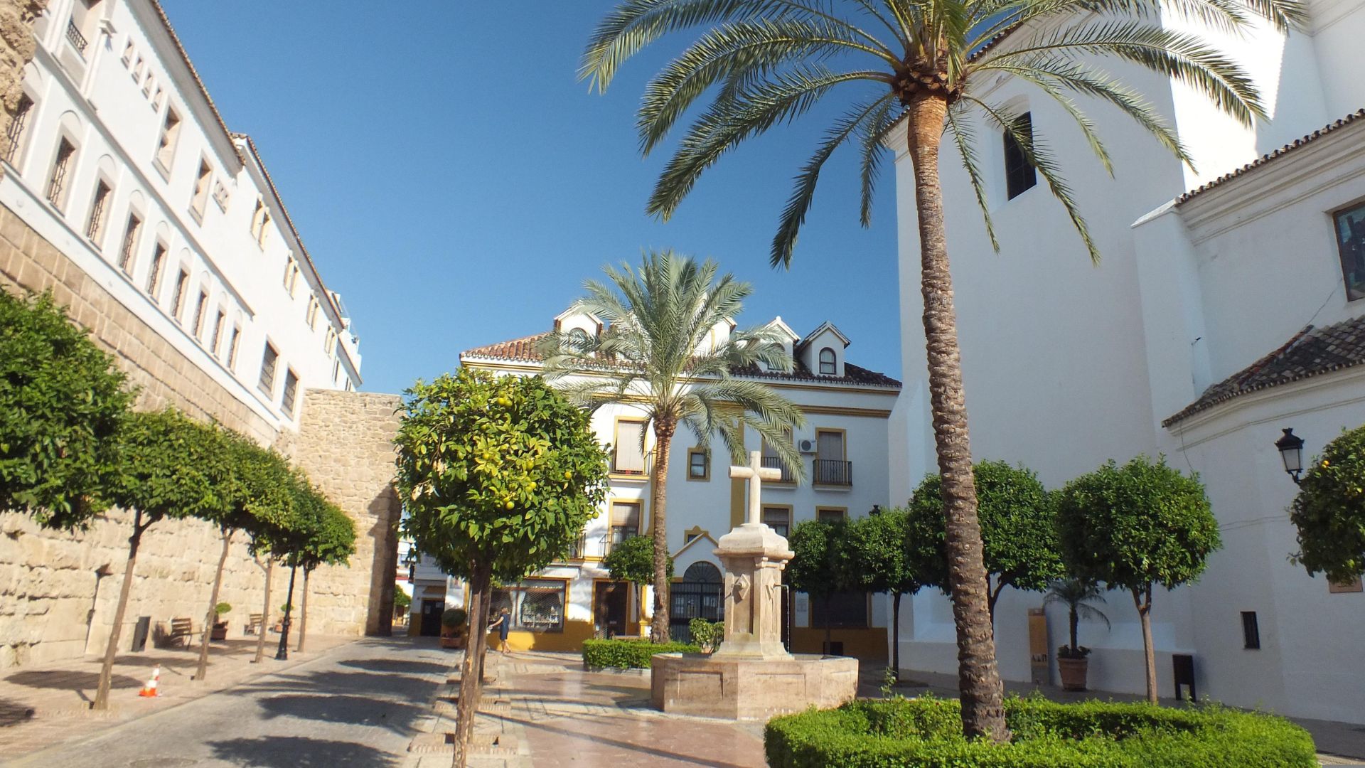 A sunny street scene in Marbella, Spain, featuring white buildings, palm trees, green foliage, and a stone cross monument in a central plaza area.