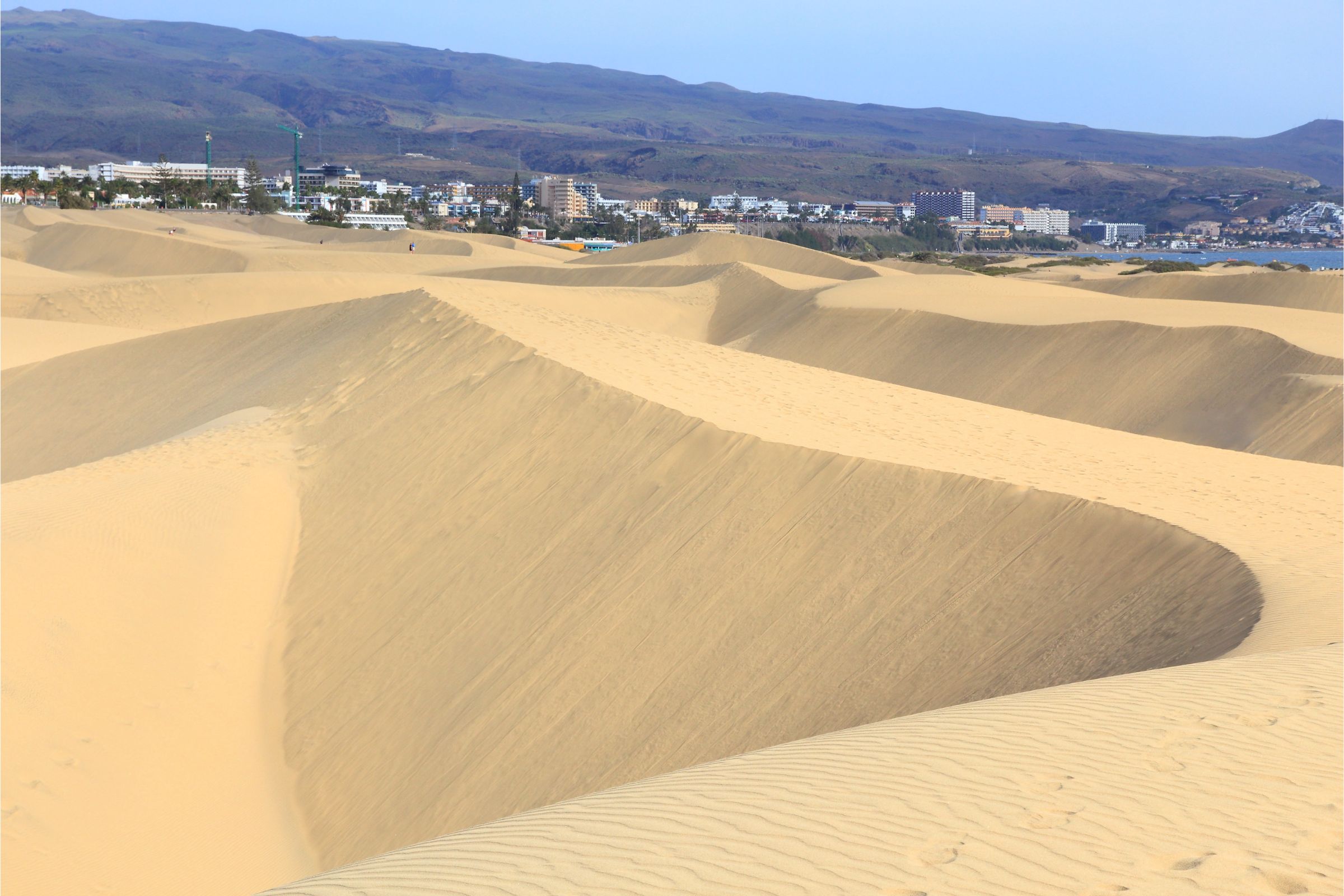 Maspalomas Dunes
