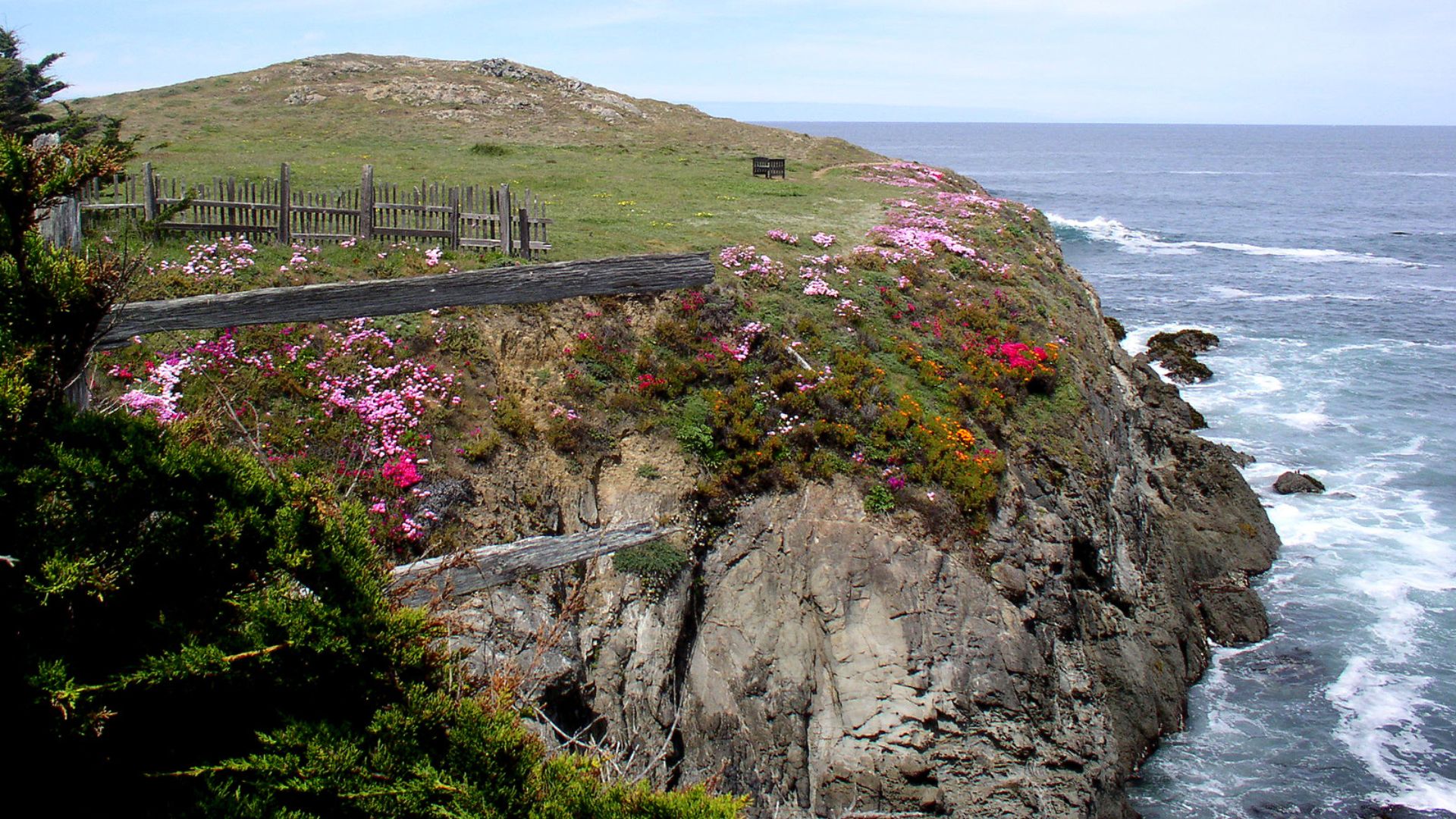 A vibrant image capturing a grassy, flower-covered cliffside overlooking the ocean, with a wooden fence and bench visible on the upper left, and waves crashing against the rocky base of the cliff on the right.