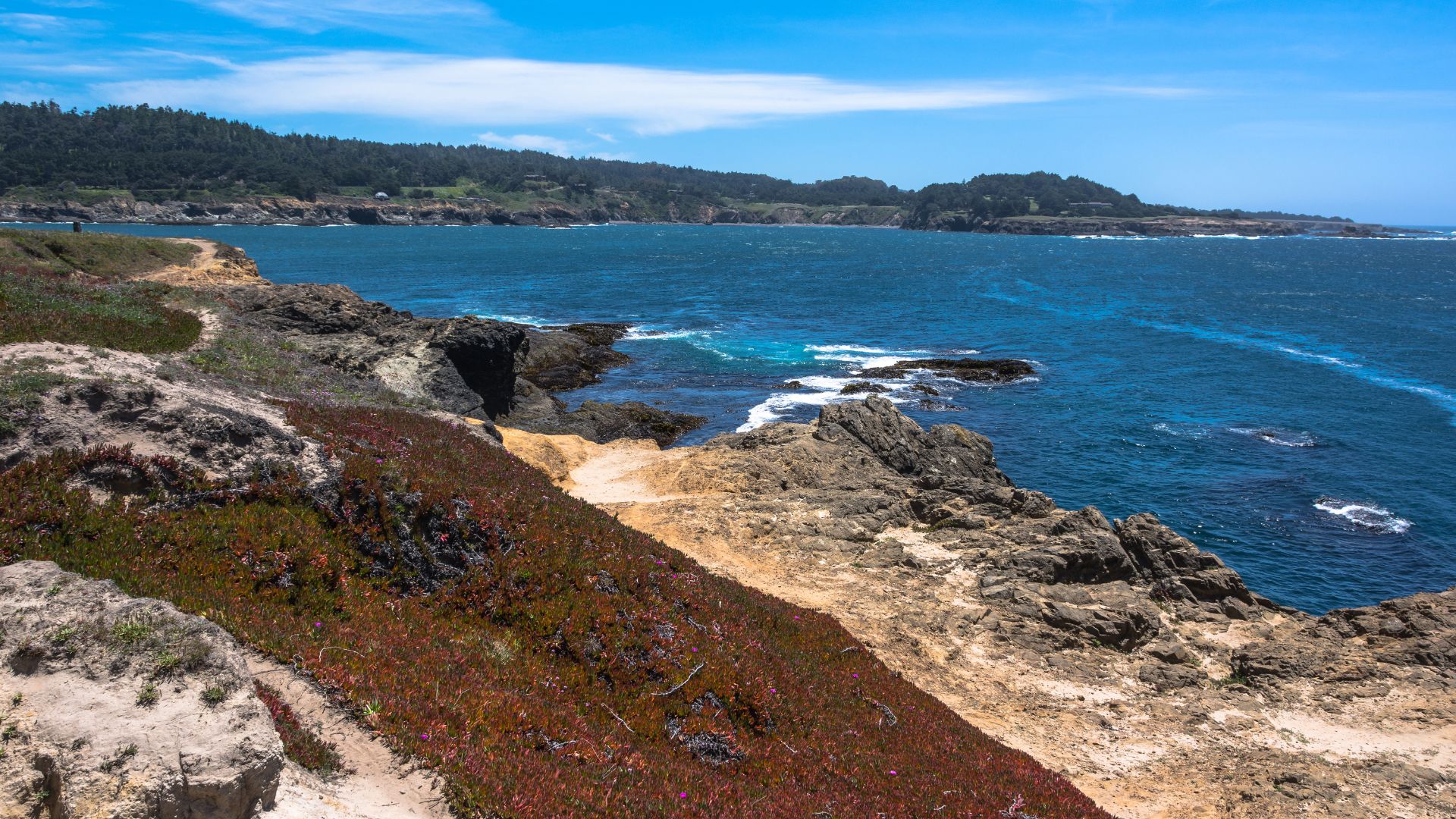 A panoramic view of a rugged coastline with a clear blue ocean on the right and a rocky, vegetated cliffside on the left, leading to distant forested hills under a bright sky.