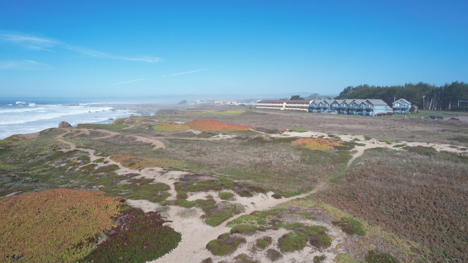 An aerial view of the rugged Mendocino Headlands State Park coastline in California, featuring coastal bluffs covered in varied vegetation, waves crashing on the shore, and buildings nestled in the distance under a clear blue sky.