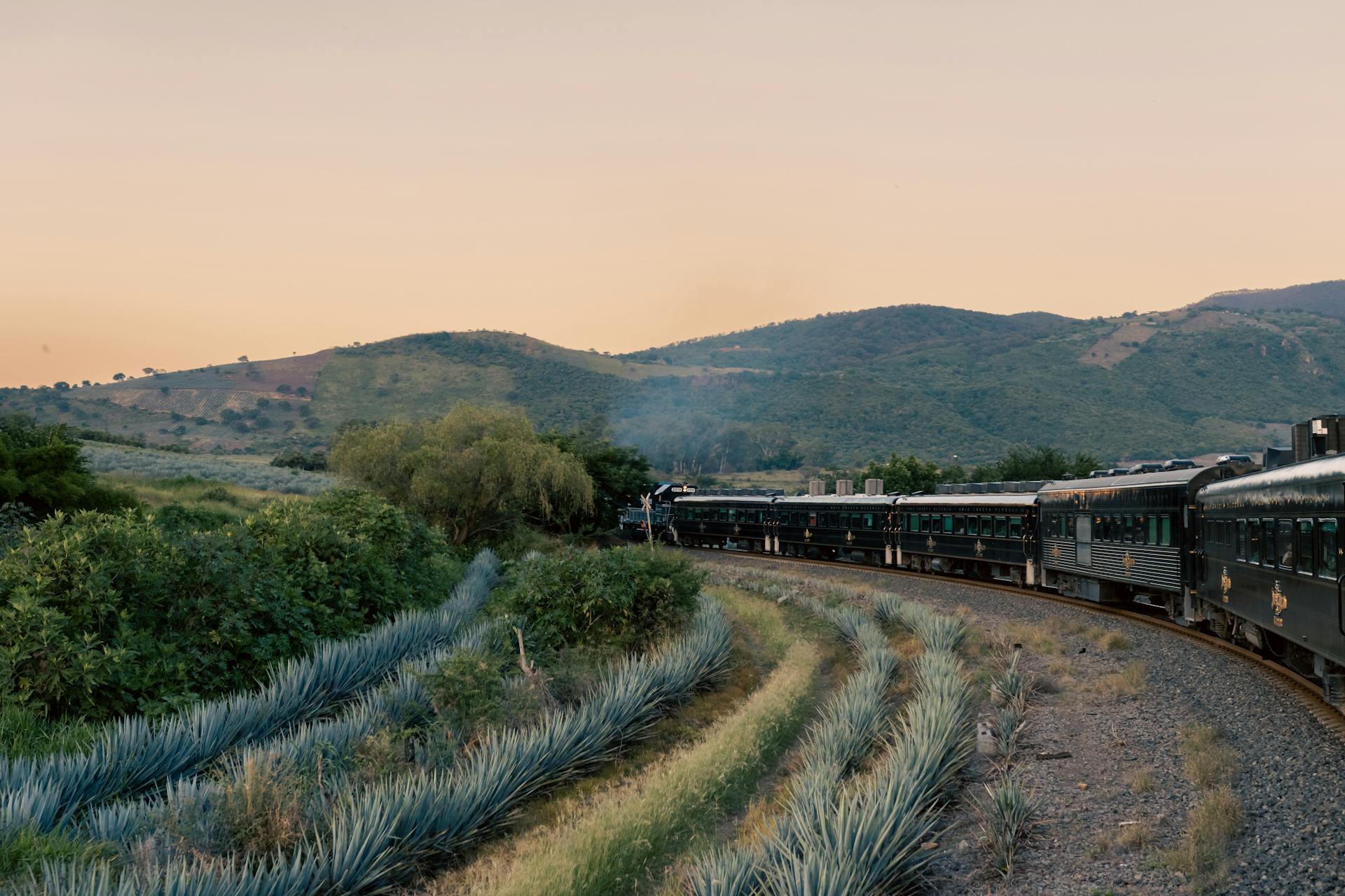 The Jose Cuervo Express tequila train traveling through the agave fields of Jalisco at sunset