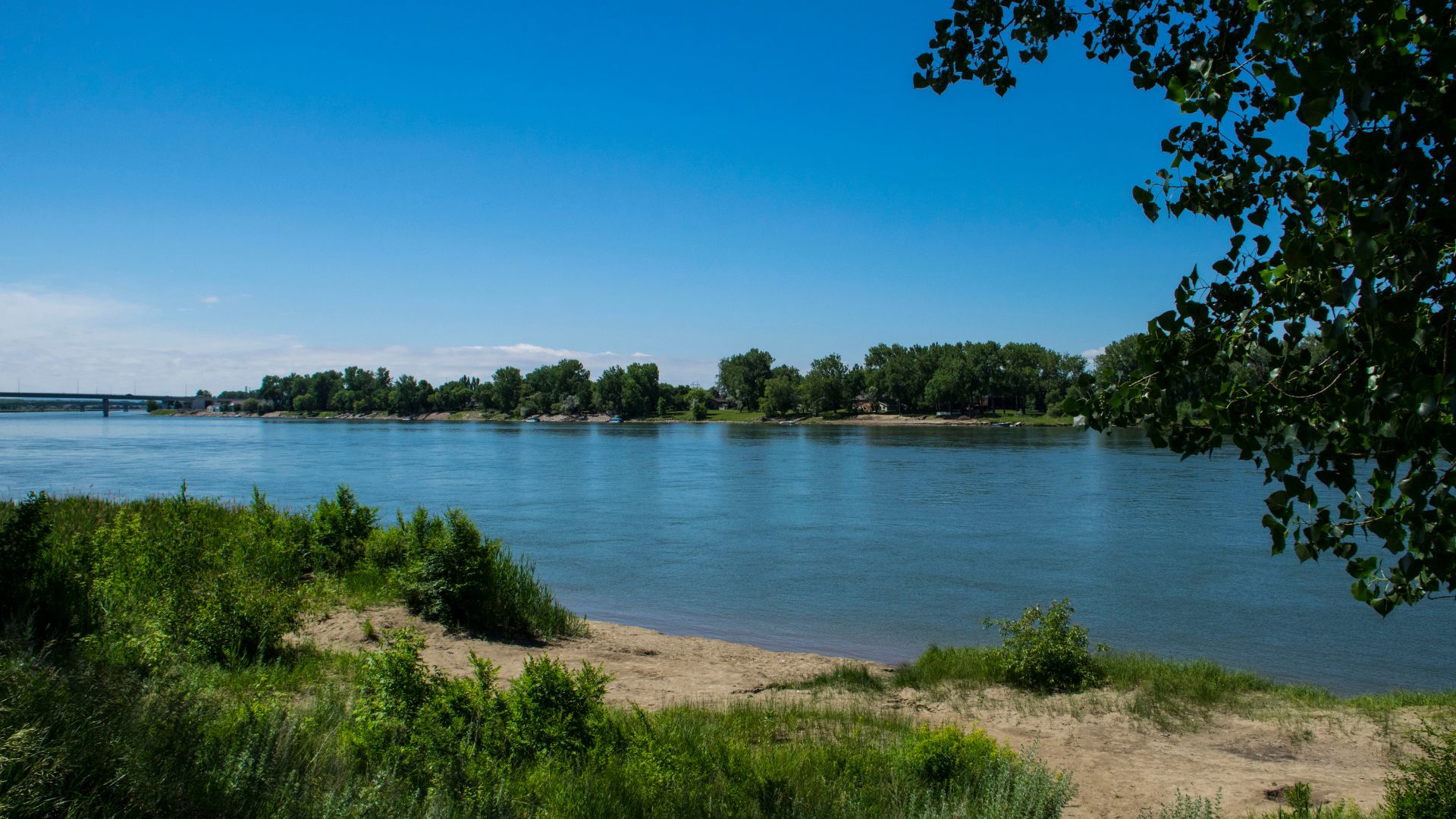 A wide, calm river with a sandy bank and green vegetation in the foreground under a clear blue sky. A treeline and a bridge are visible in the distance across the river.