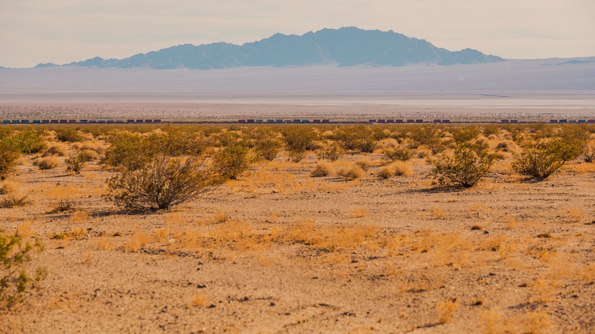 A wide shot of a vast, arid desert landscape under a pale sky, with low-lying brush and a long train visible on a distant track, all set against a backdrop of hazy mountains.