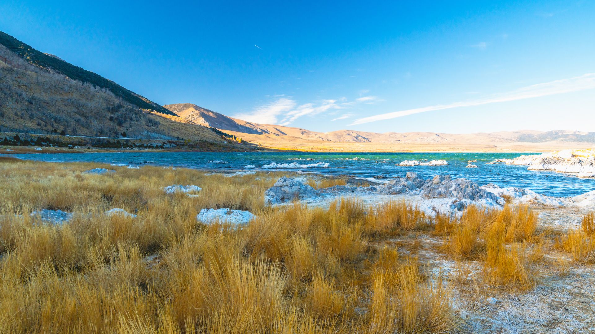 A wide shot of Mono Lake in California, featuring a calm blue lake with scattered white tufa formations, surrounded by golden-brown grasses and backed by a range of mountains under a bright blue sky.