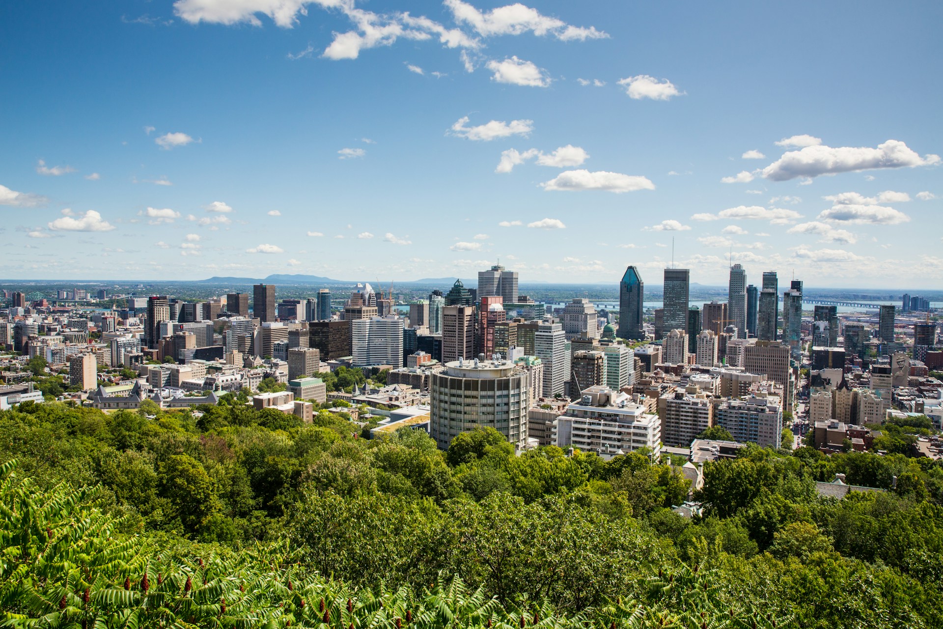 Aerial view of the Montreal skyline in summer
