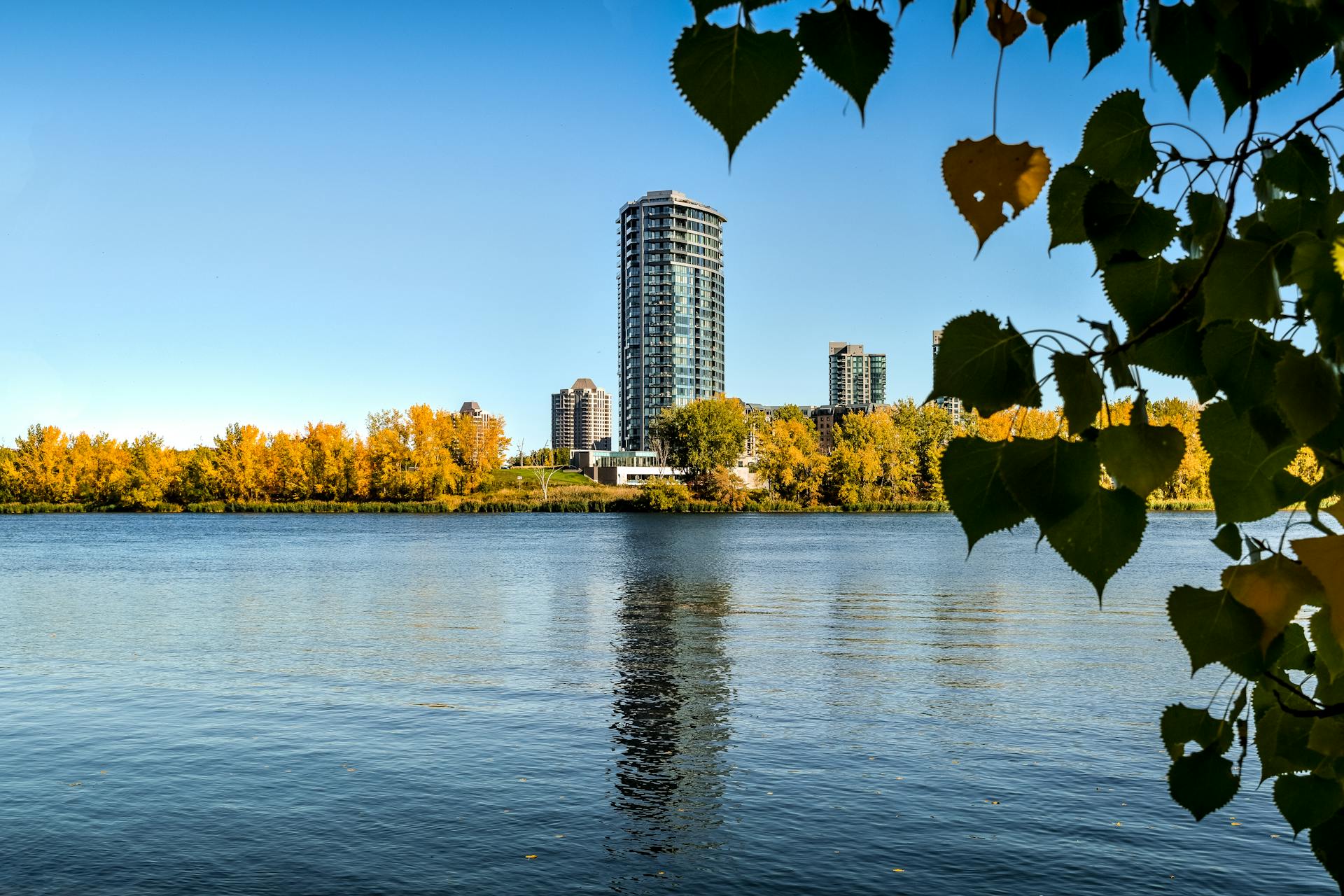 Panoramic view of the Montreal skyline from the Mount Royal lookout on a summer day