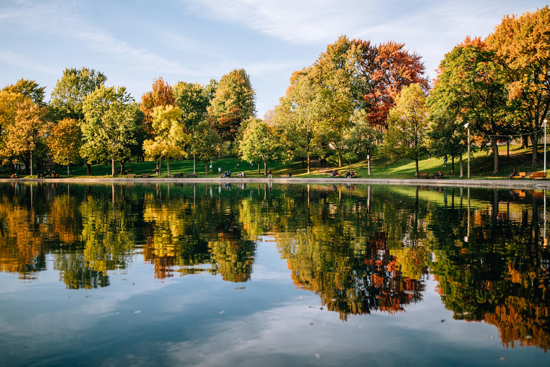 A scenic parkway in Montreal running alongside the St. Lawrence River,