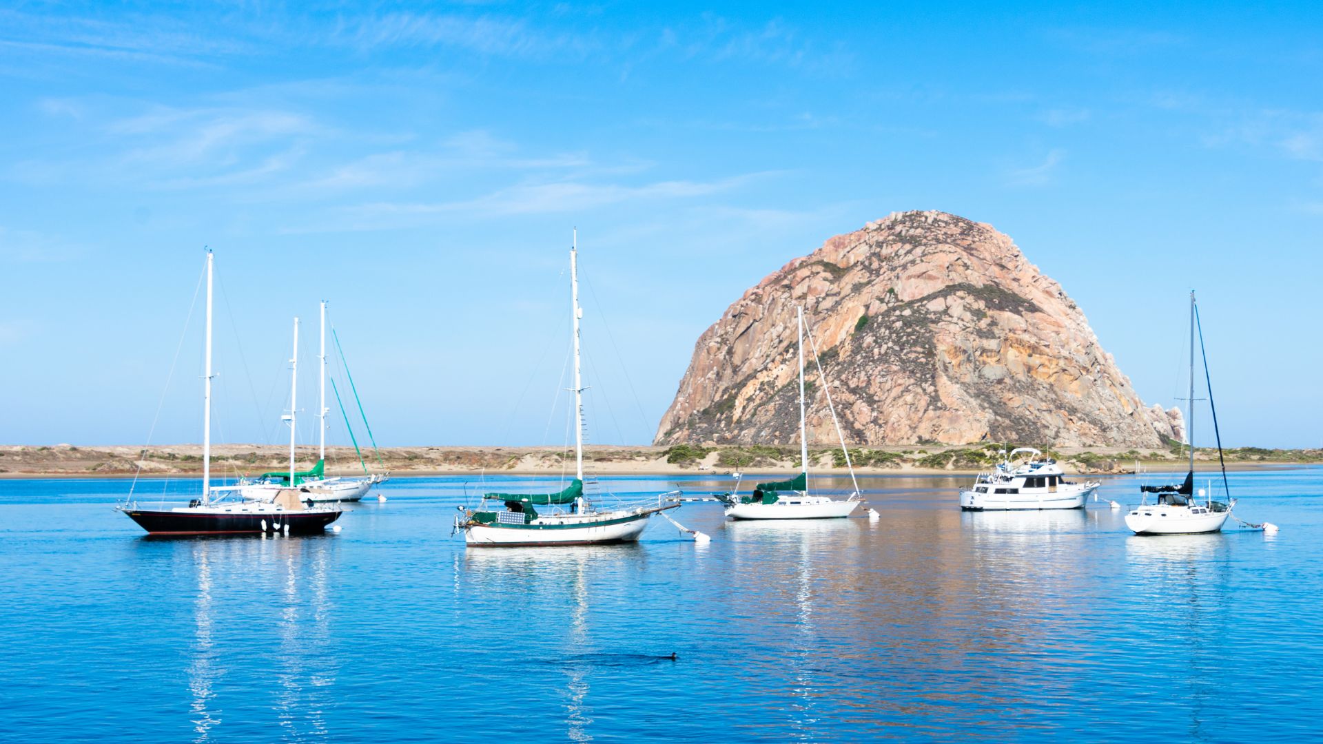 A wide shot of Morro Bay on a clear day, featuring the iconic Morro Rock, a large volcanic plug, in the background. Several sailboats and motorboats are anchored in the calm, blue waters of the bay in the foreground. 