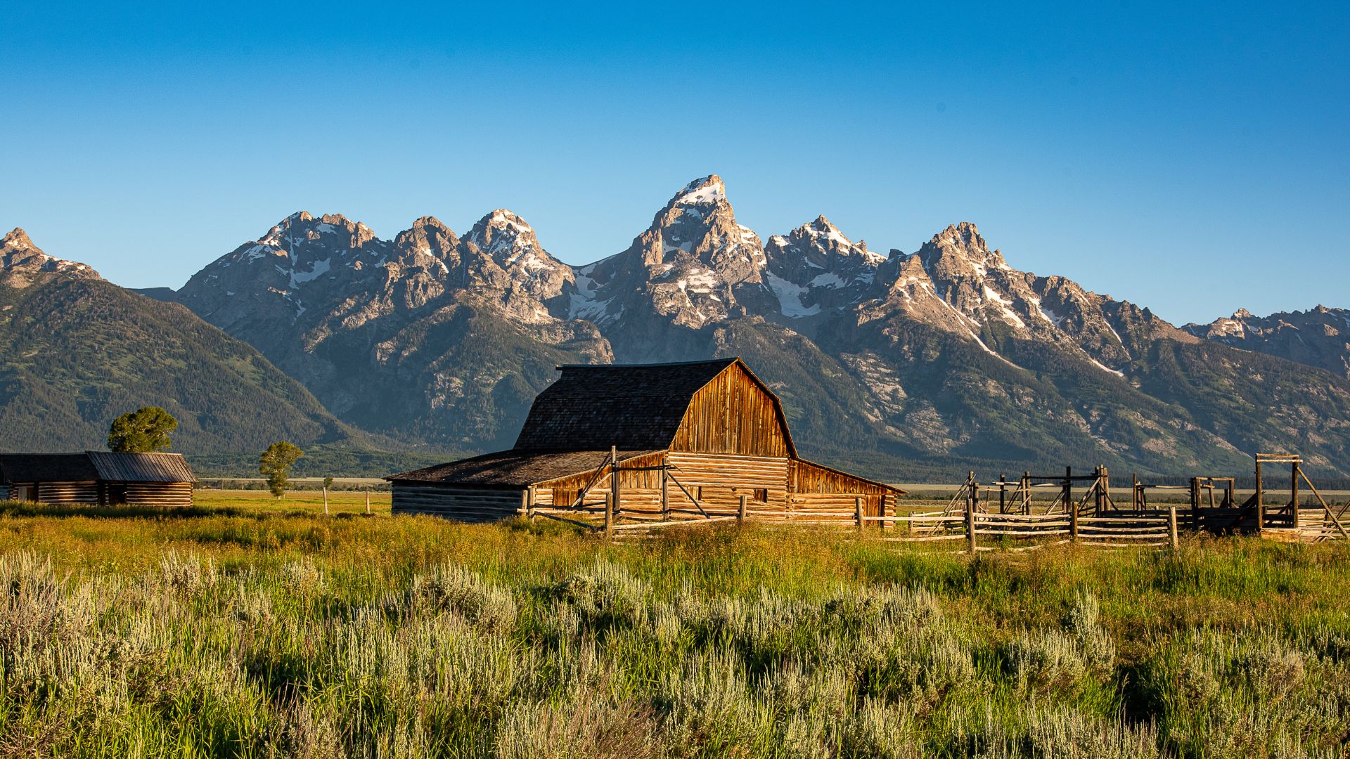 A wide shot of Mount Whitney and surrounding peaks in the Sierra Nevada mountain range, featuring rugged, light-colored granite peaks under a blue sky with scattered clouds, and dark green pine forests covering the lower slopes and valleys.