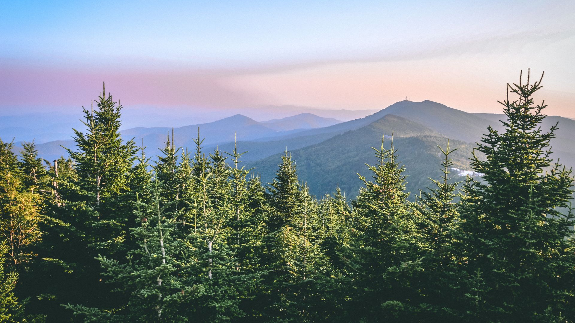 A panoramic view of a mountain range, featuring a dense evergreen forest in the foreground and layered, hazy mountains stretching into the distance under a pale, colorful sky at dusk or dawn.