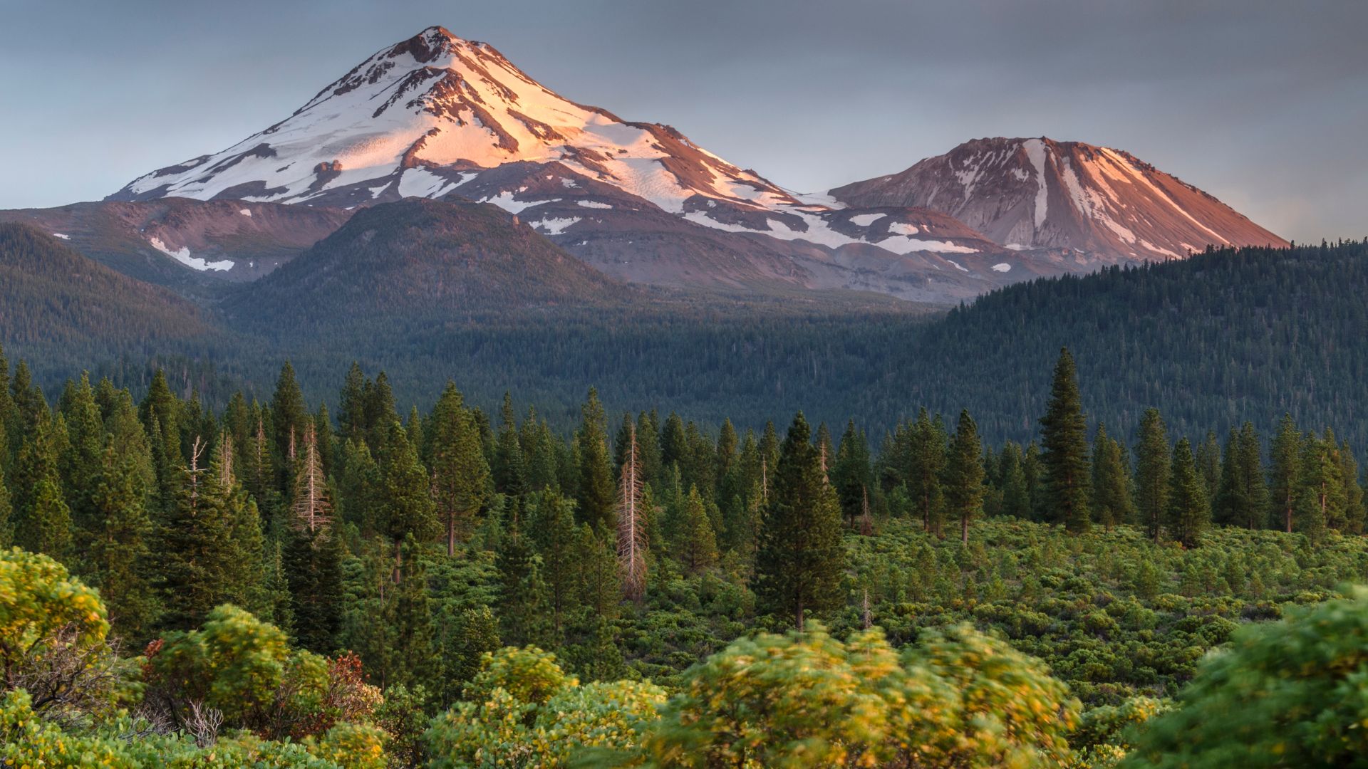 A majestic, snow-capped stratovolcano, Mount Shasta, rises prominently in the background, bathed in the warm light of sunrise or sunset.