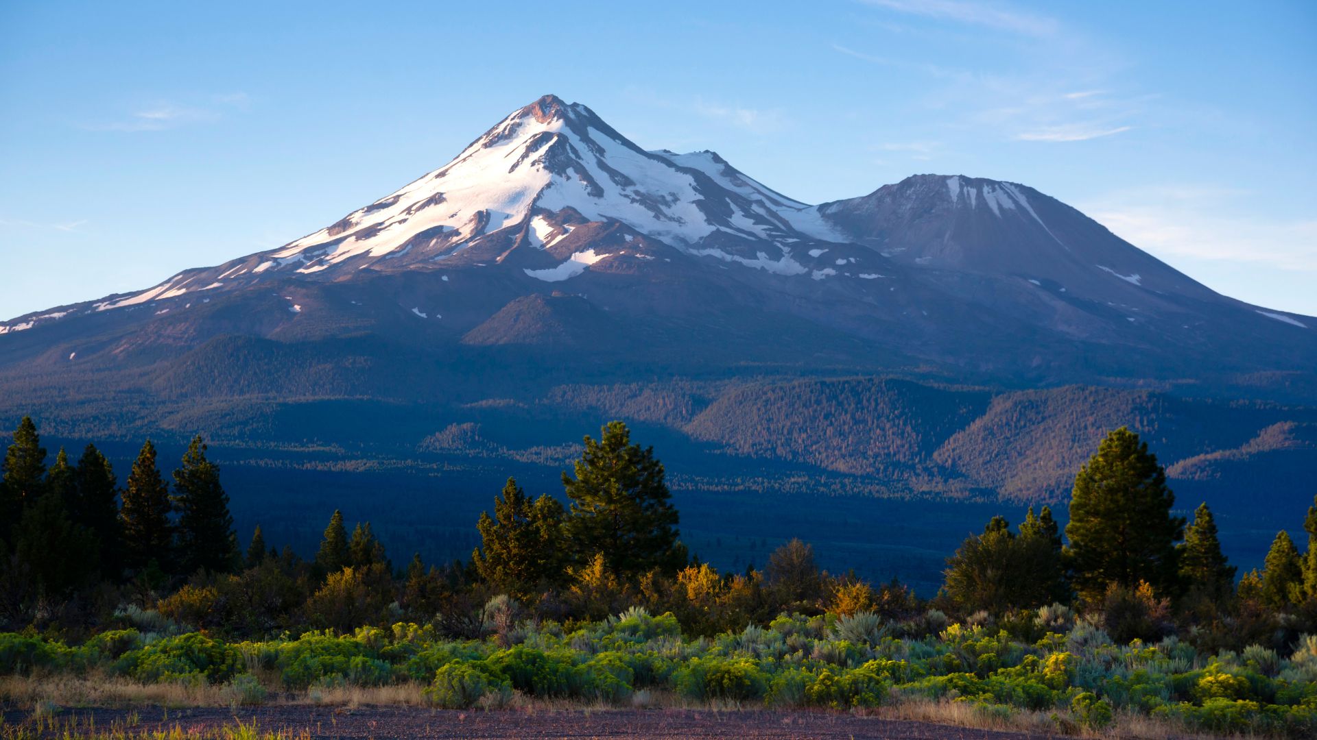 A majestic, snow-capped Mount Shasta rises prominently against a clear blue sky, with forested foothills and green shrubbery in the foreground under soft sunlight.